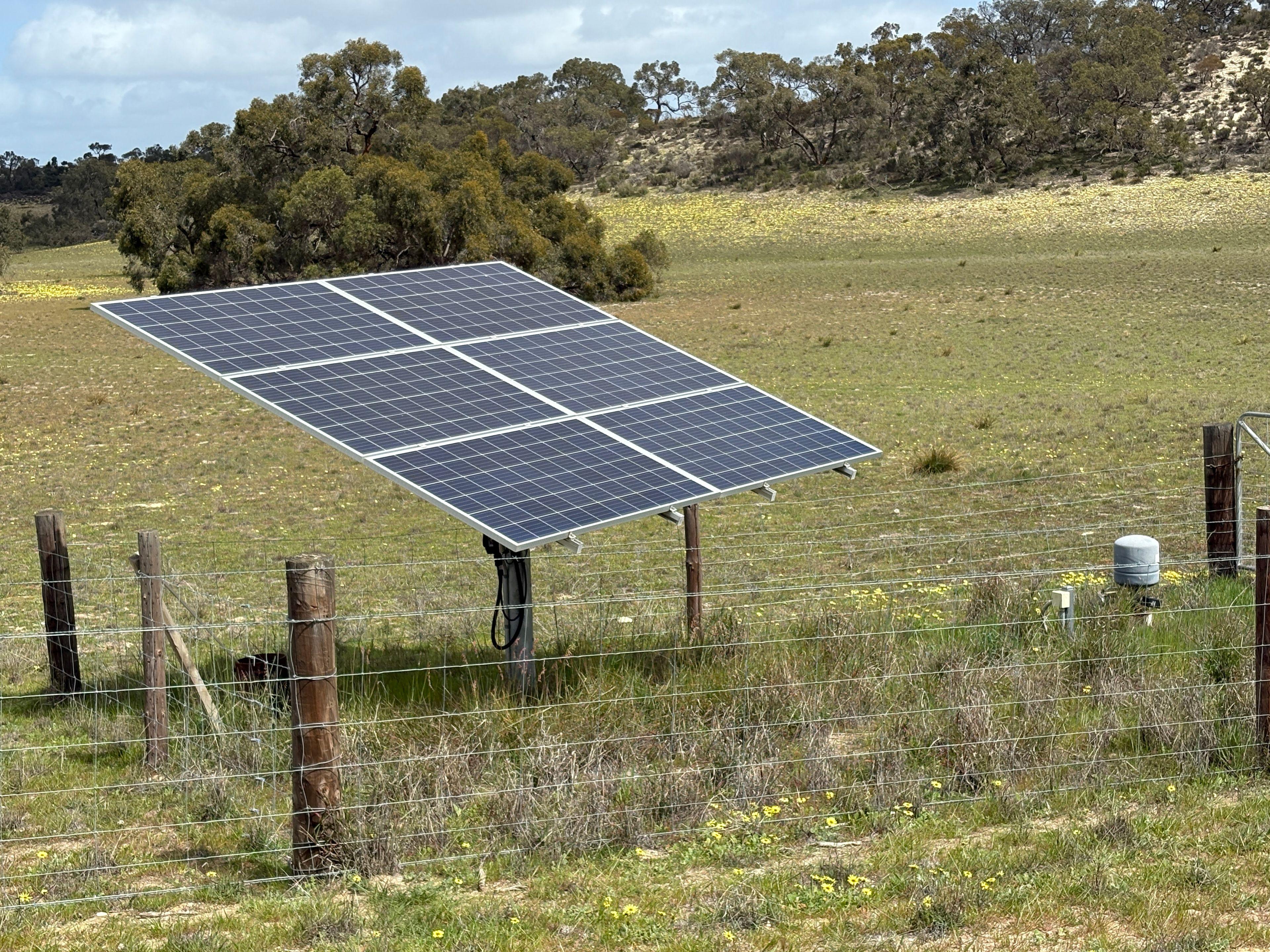 Mallee Grazing Opportunity