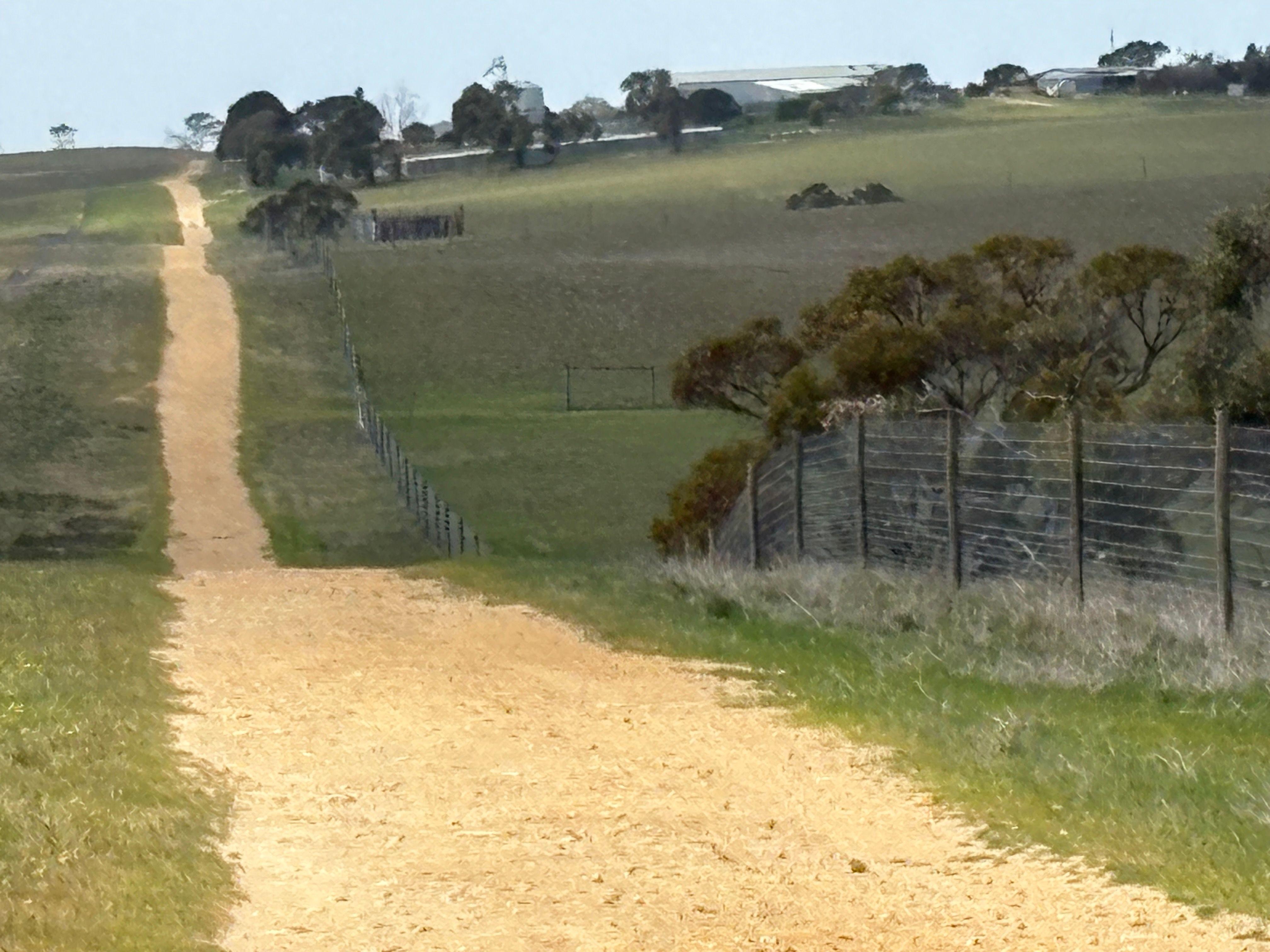 Mallee Grazing Opportunity