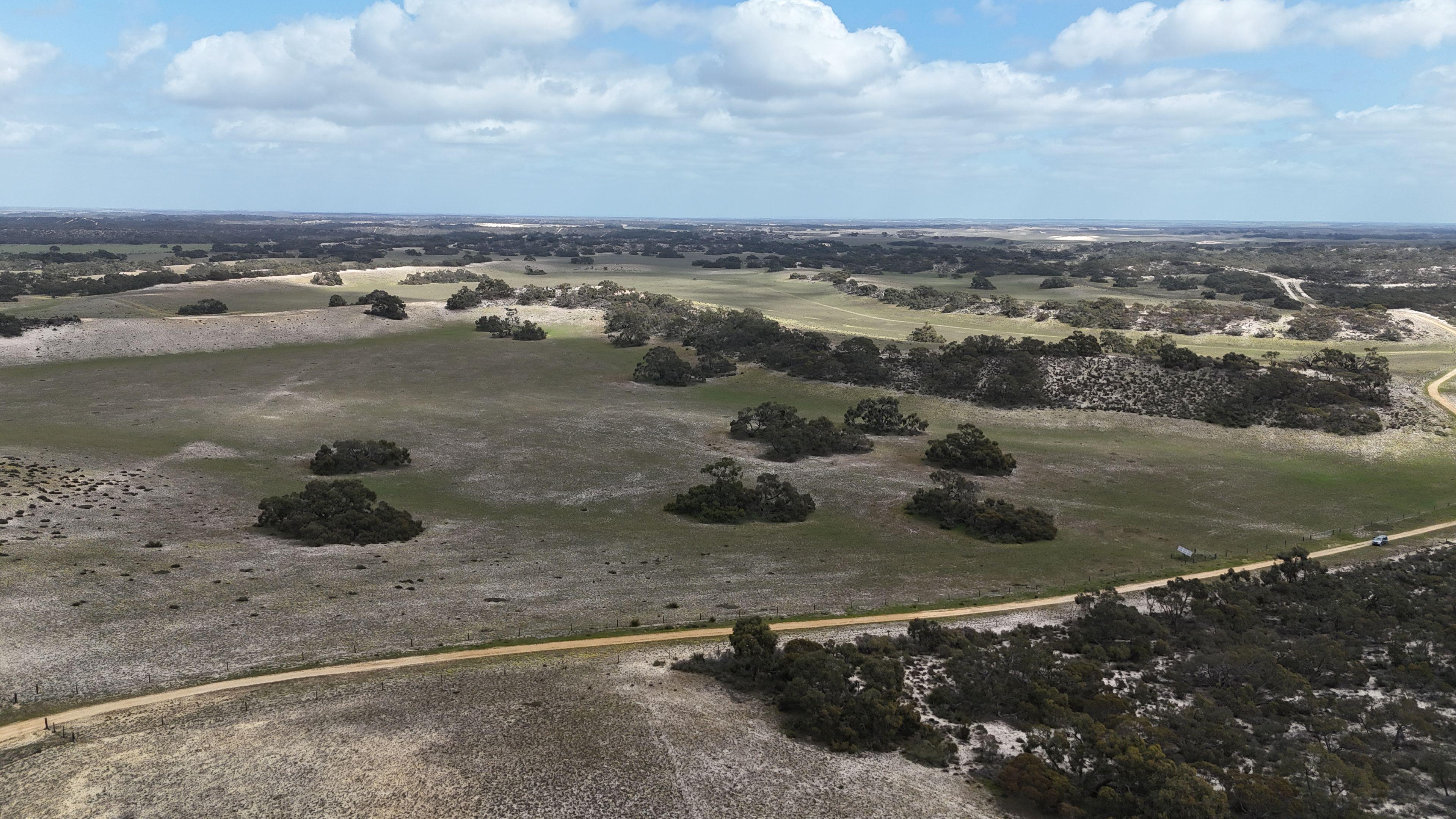Mallee Grazing Opportunity
