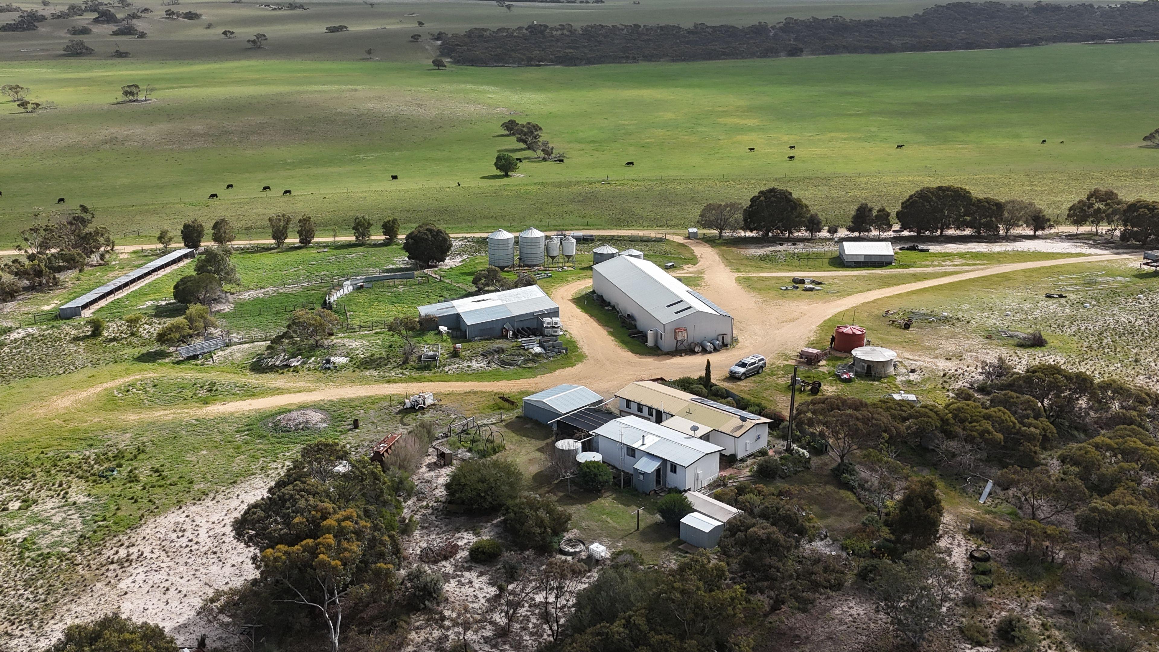 Mallee Grazing Opportunity