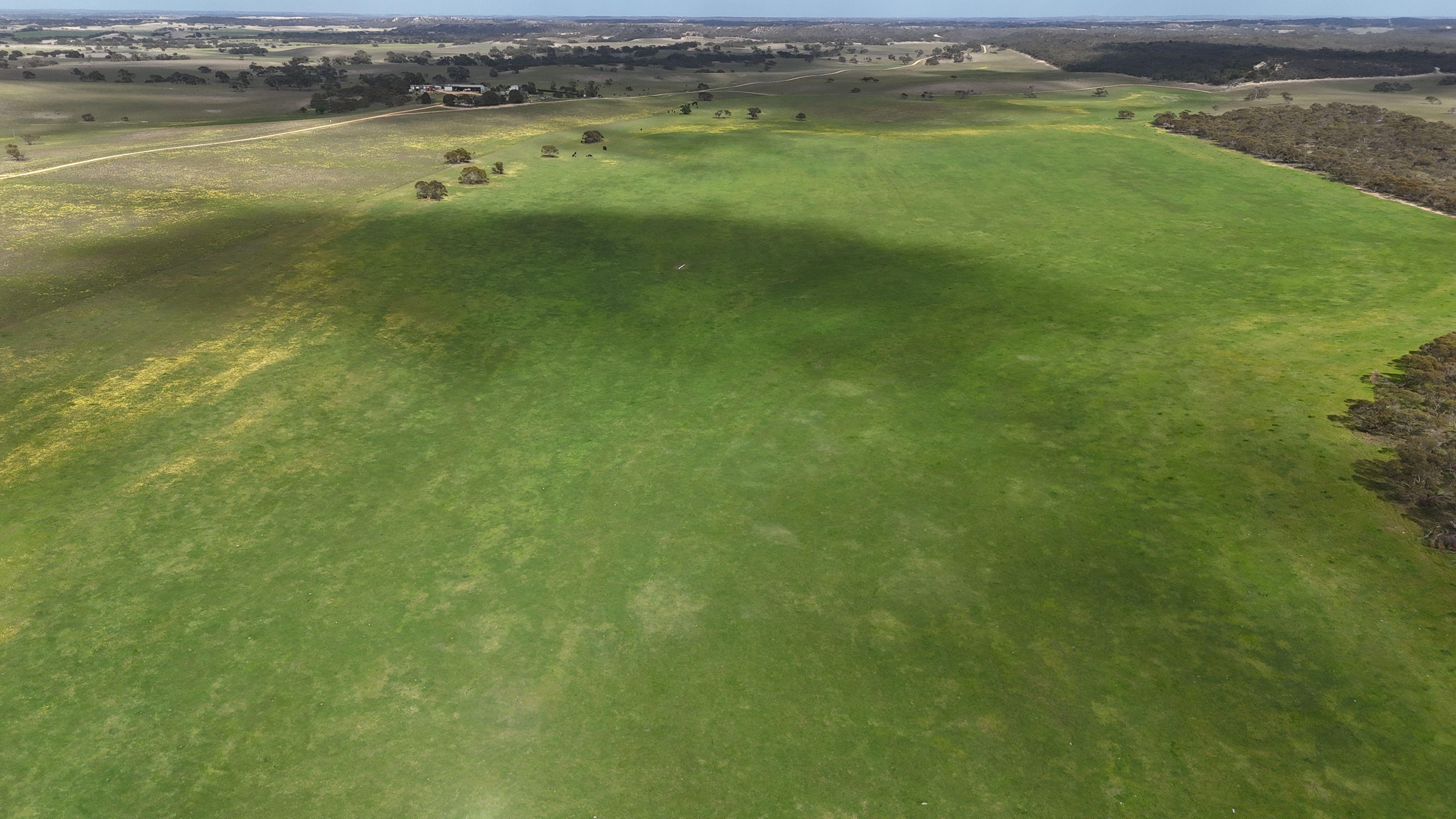 Mallee Grazing Opportunity