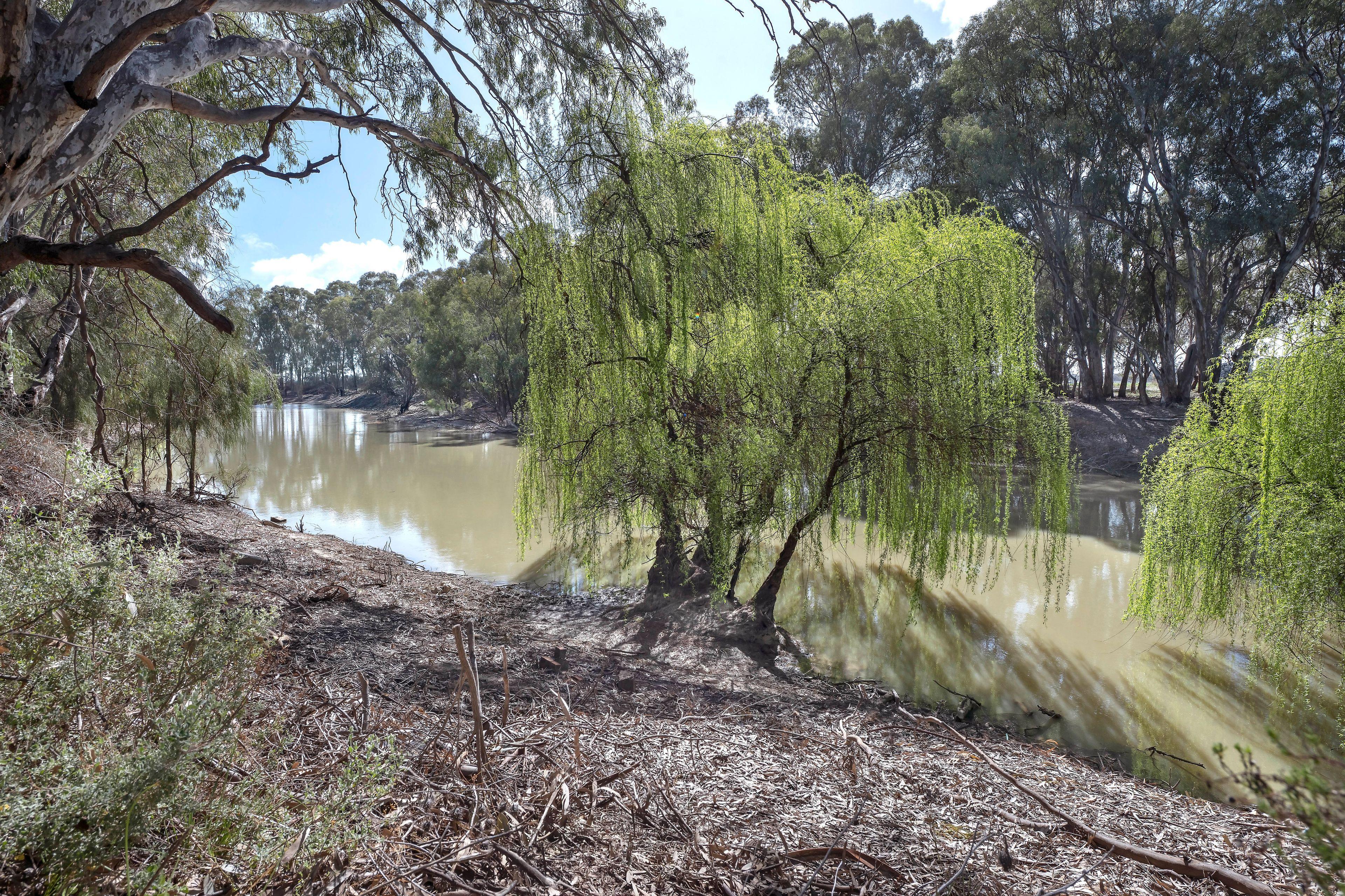 Riverfront Lifestyle Property - Tranquil Retreat on 18.58 Acres (Approx.)