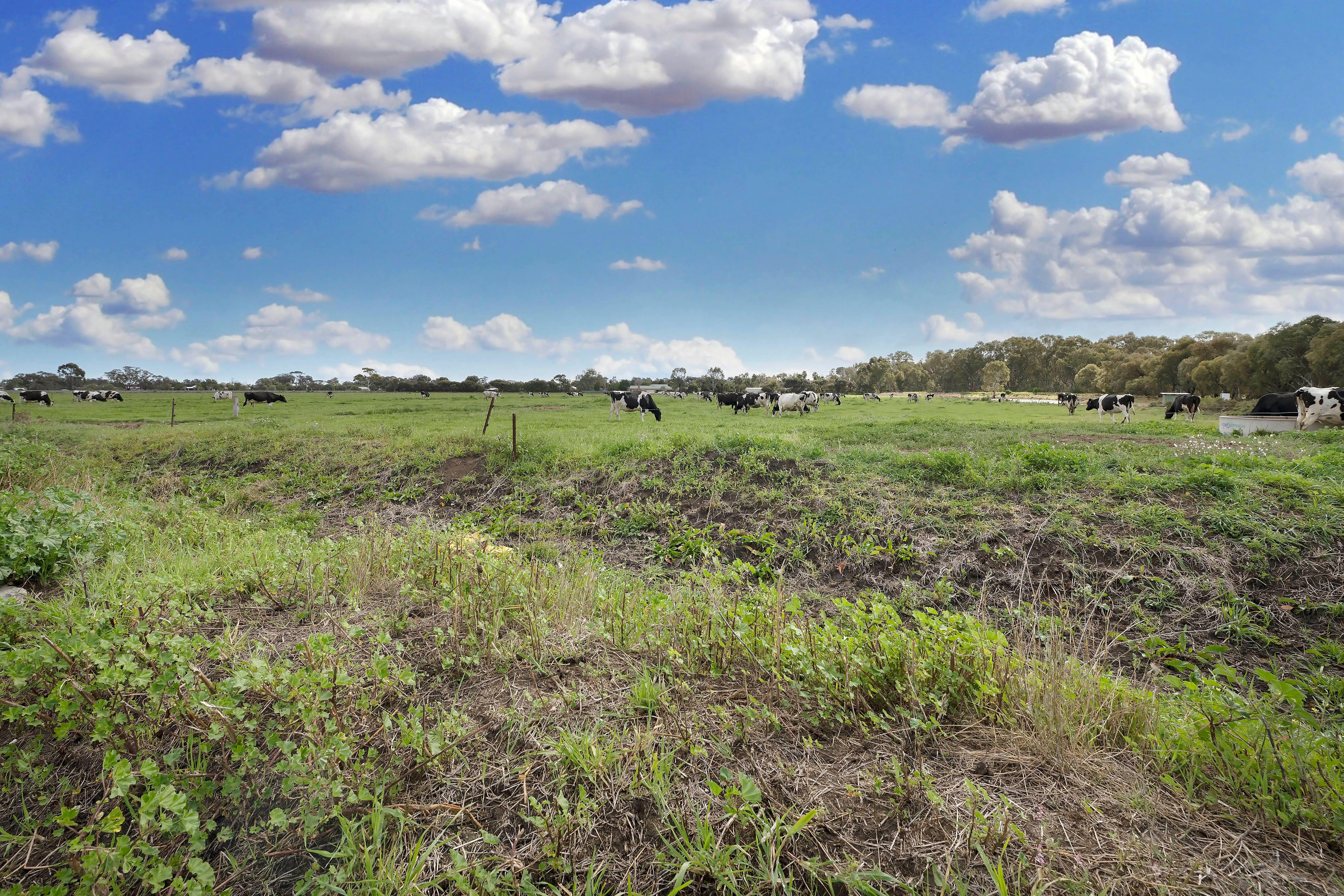 Riverfront Lifestyle Property - Tranquil Retreat on 18.58 Acres (Approx.)