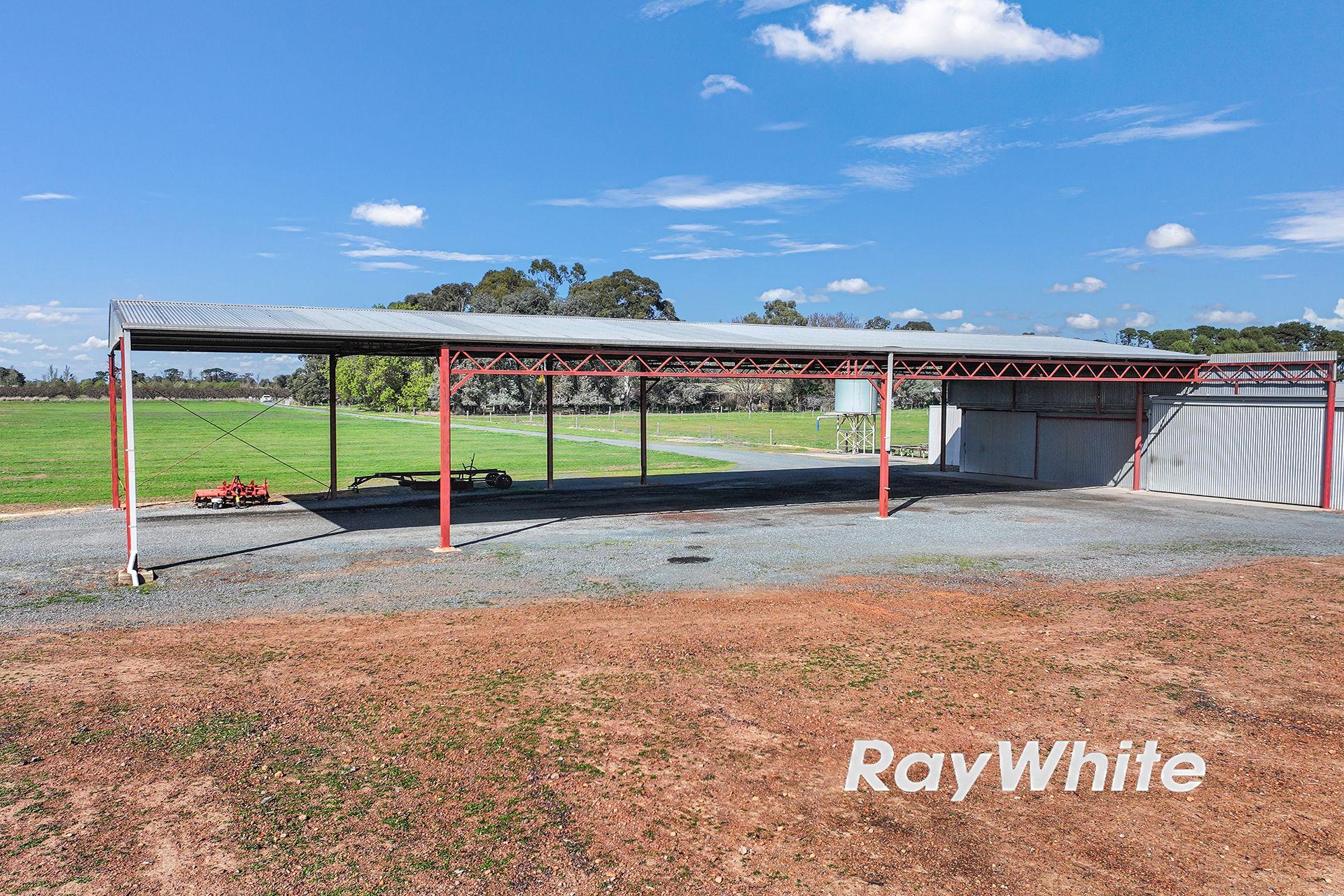 61 Acres with Excellent Shedding & Irrigation - Kyabram District