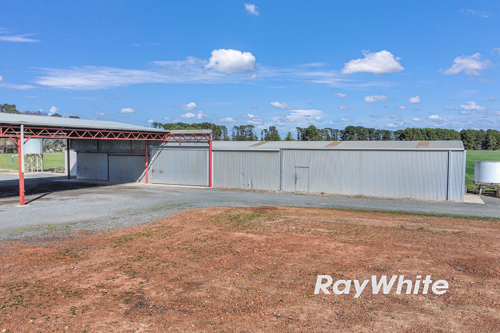 61 Acres with Excellent Shedding & Irrigation - Kyabram District