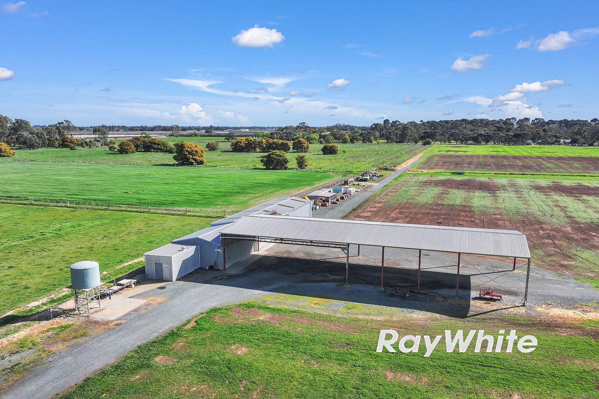 61 Acres with Excellent Shedding & Irrigation - Kyabram District