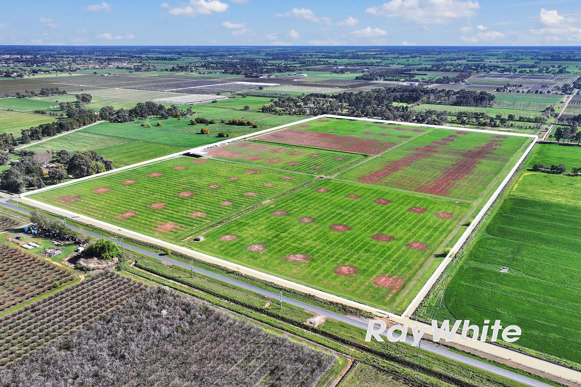 61 Acres with Excellent Shedding & Irrigation - Kyabram District