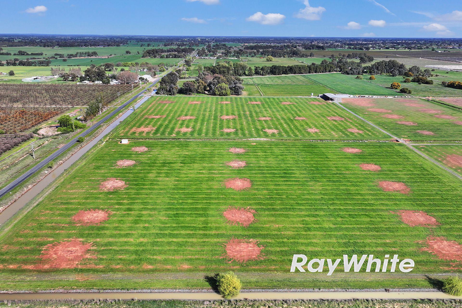 61 Acres with Excellent Shedding & Irrigation - Kyabram District
