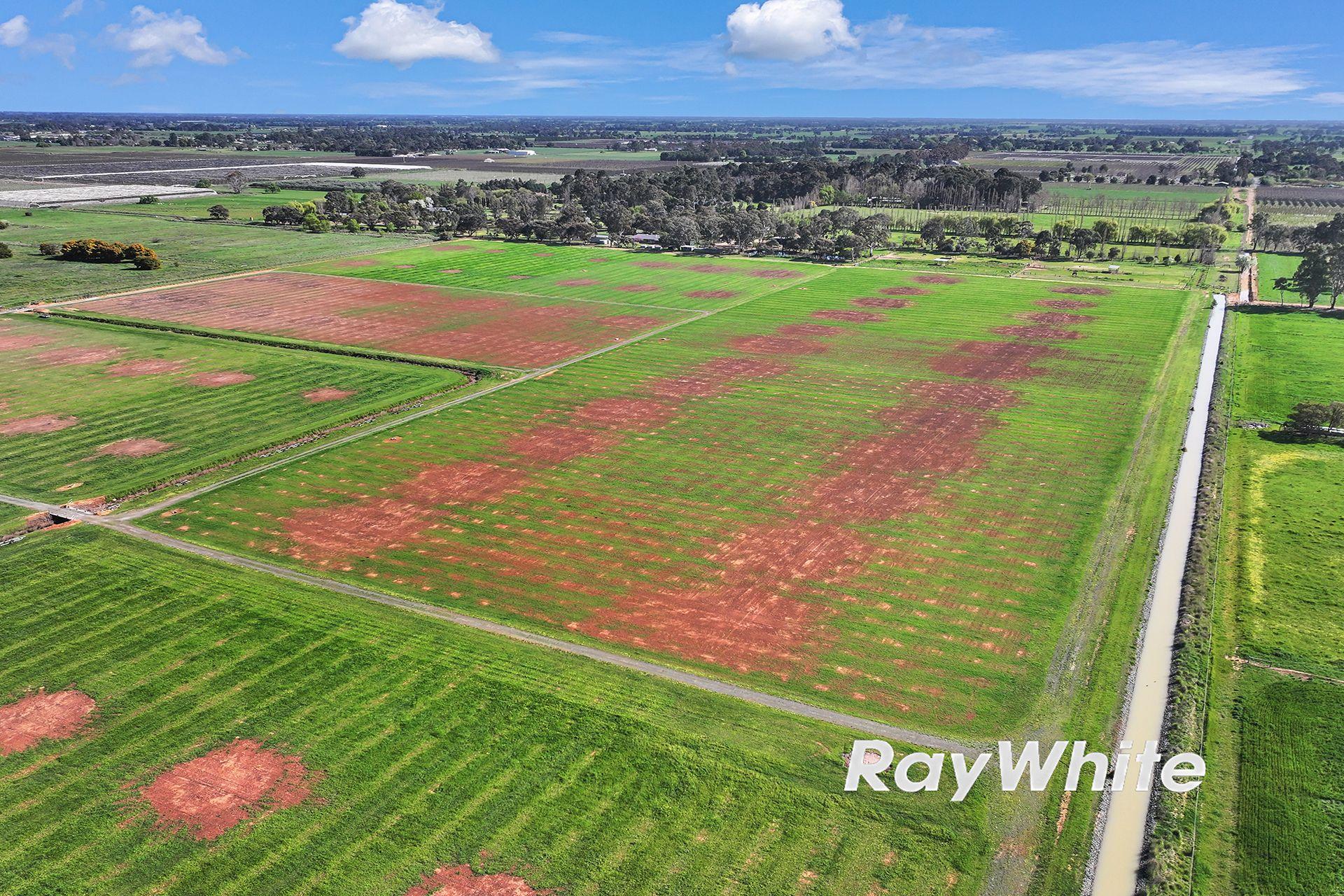 61 Acres with Excellent Shedding & Irrigation - Kyabram District
