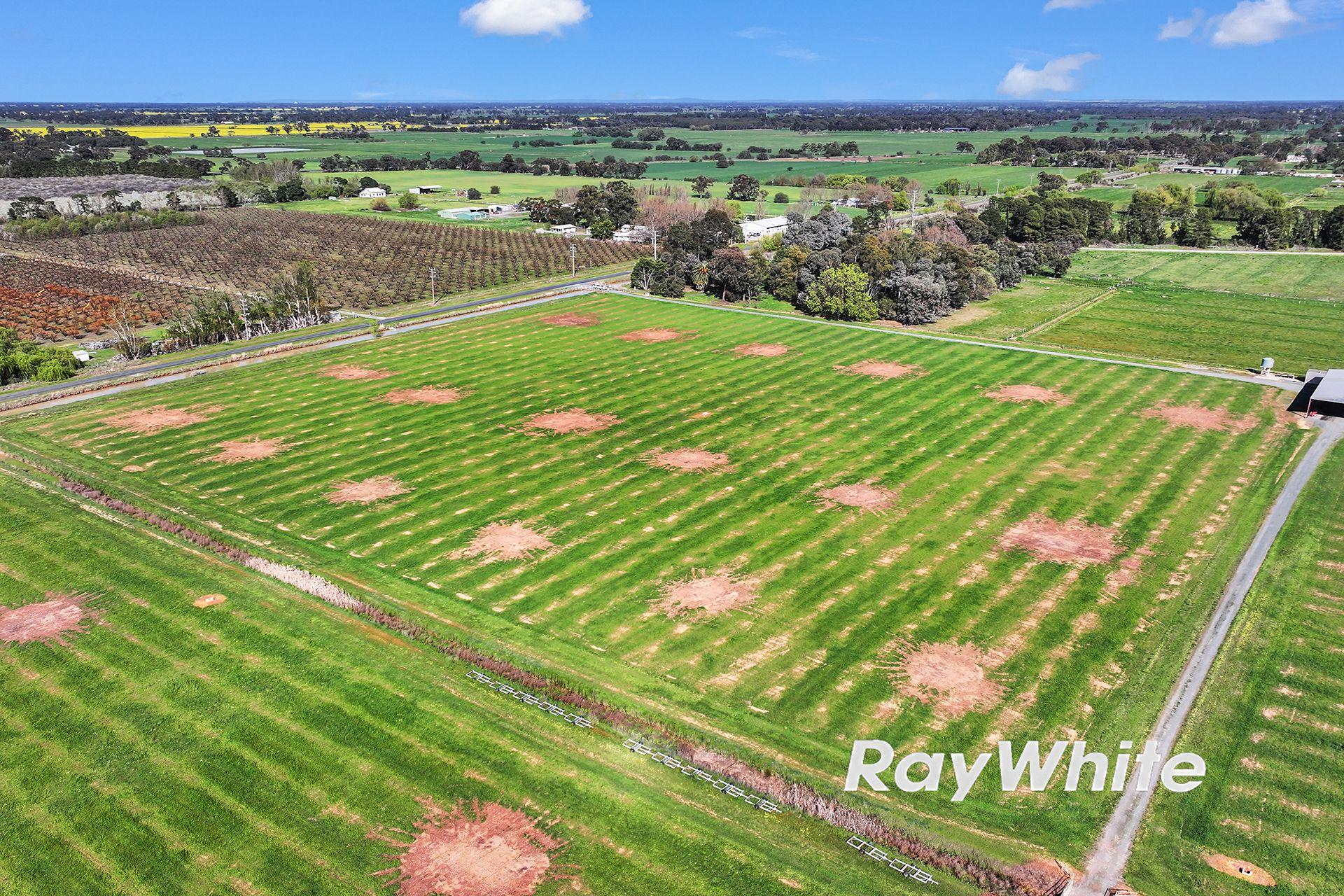 61 Acres with Excellent Shedding & Irrigation - Kyabram District