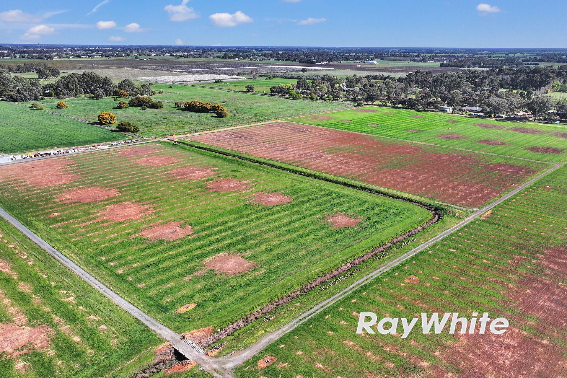 61 Acres with Excellent Shedding & Irrigation - Kyabram District