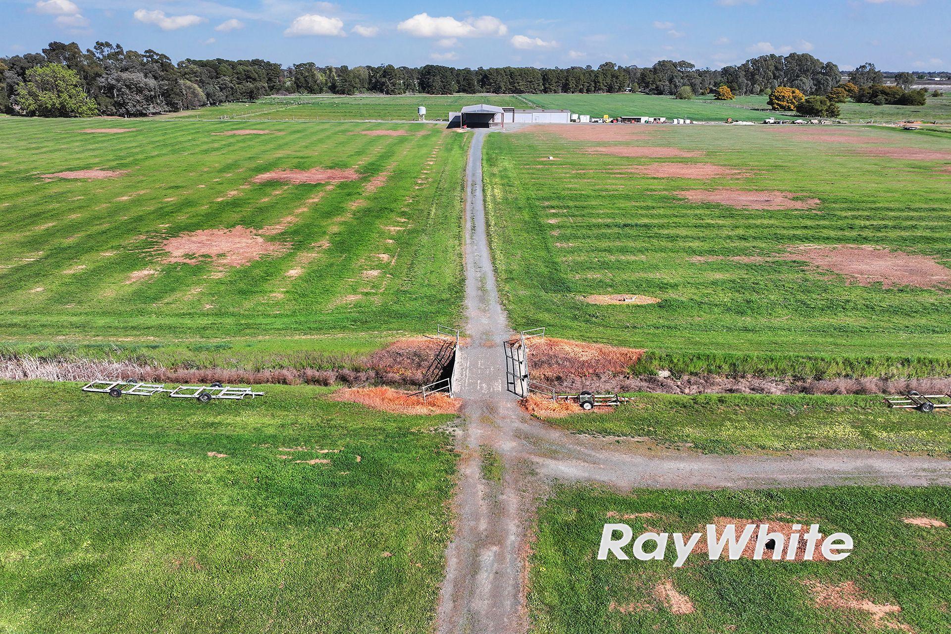 61 Acres with Excellent Shedding & Irrigation - Kyabram District