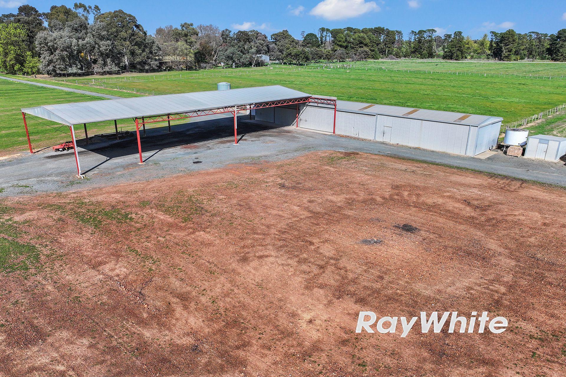 61 Acres with Excellent Shedding & Irrigation - Kyabram District