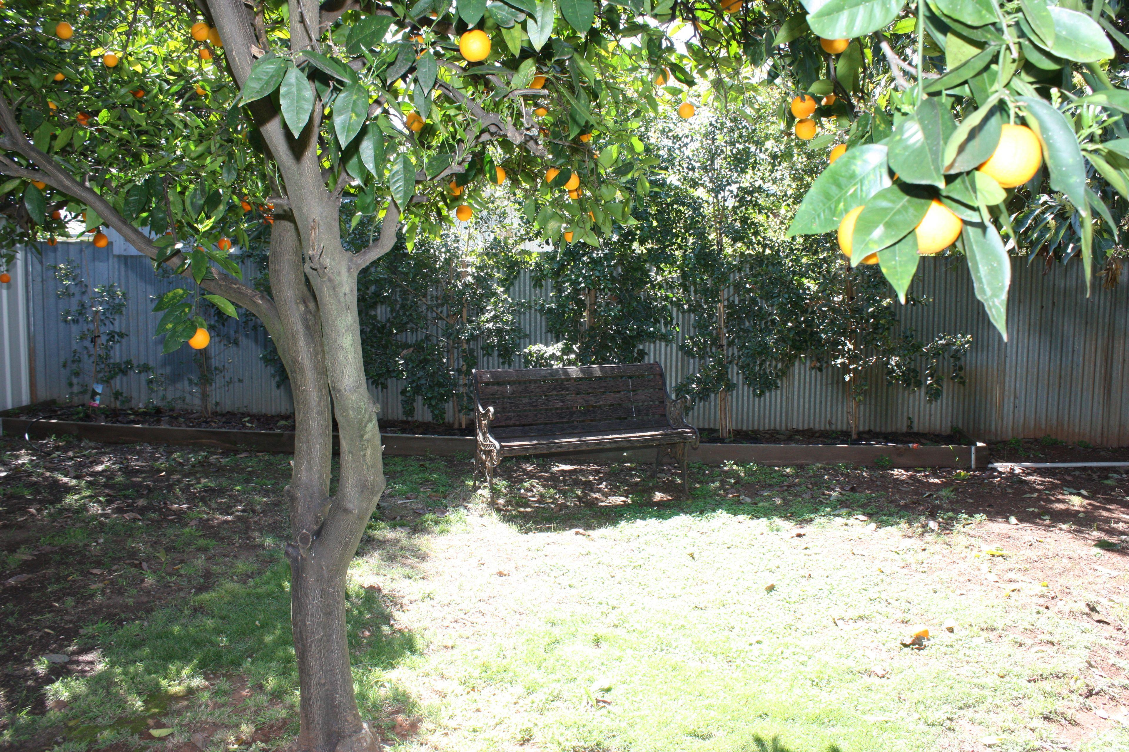 80 Wanstead Street, Corowa - 2 Bedroom