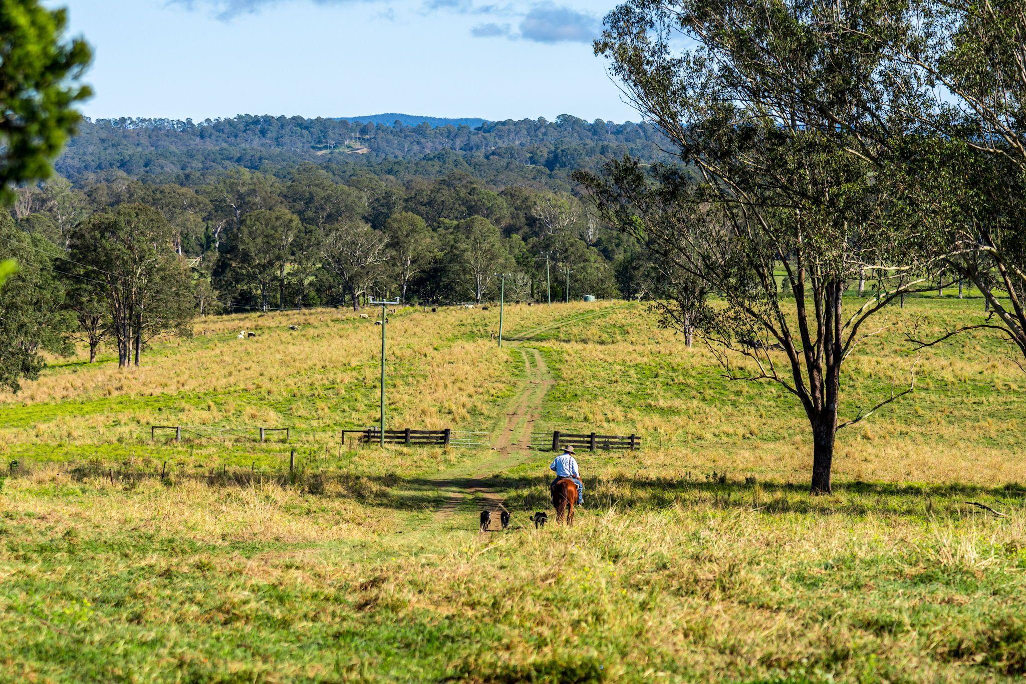 Quality Cattle Block