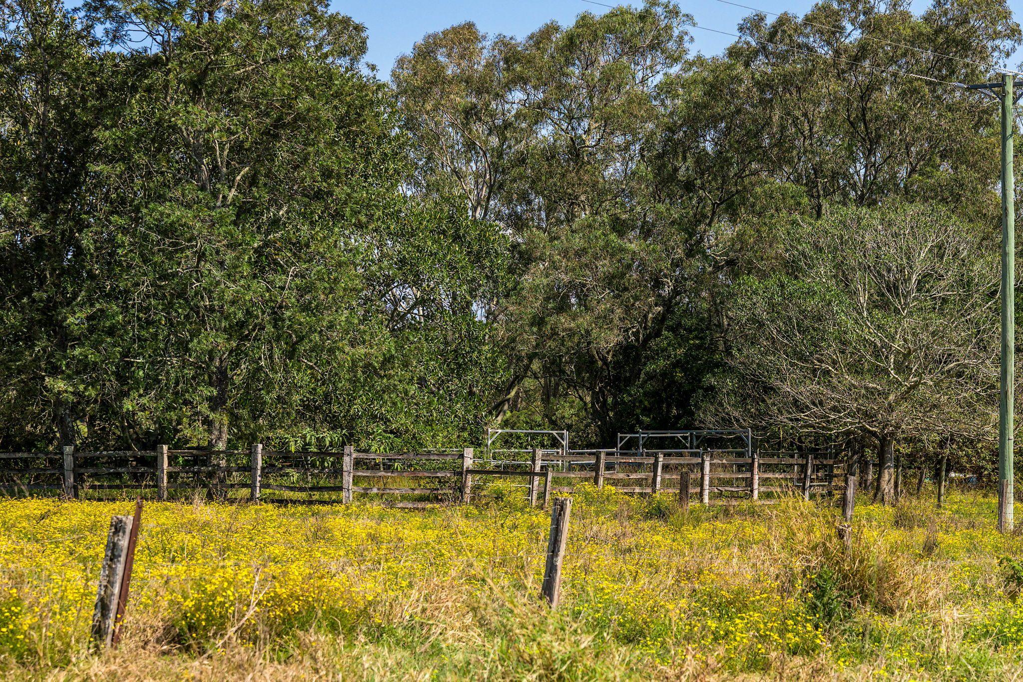 Quality Cattle Block