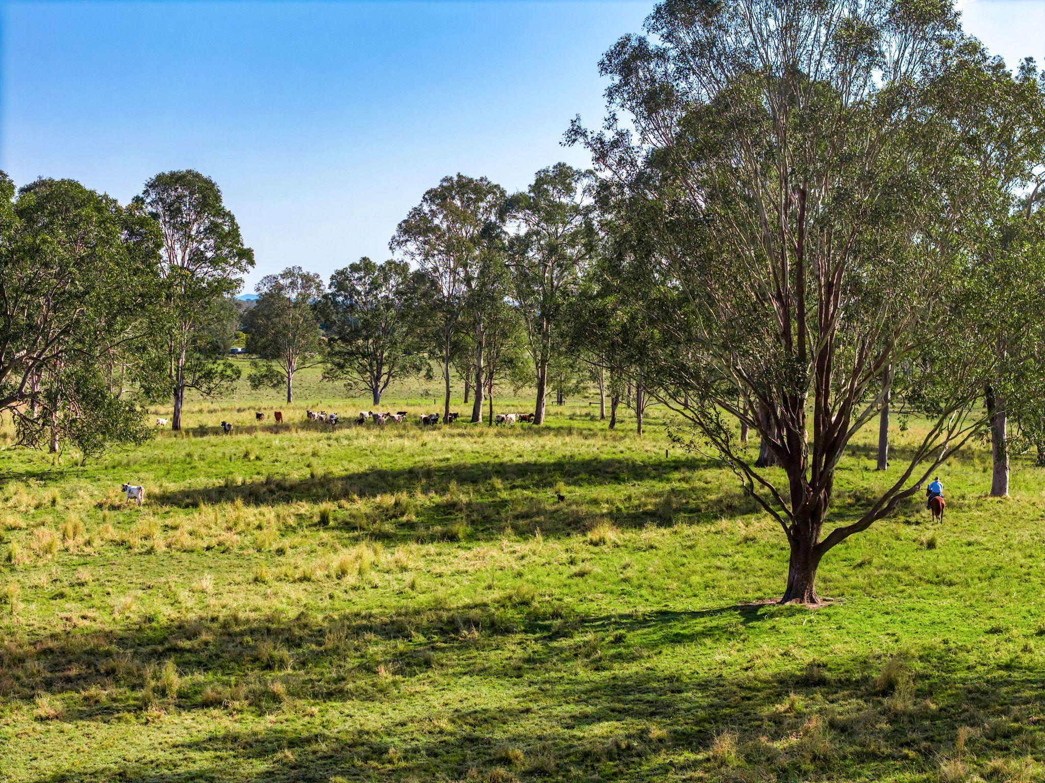 Quality Cattle Block