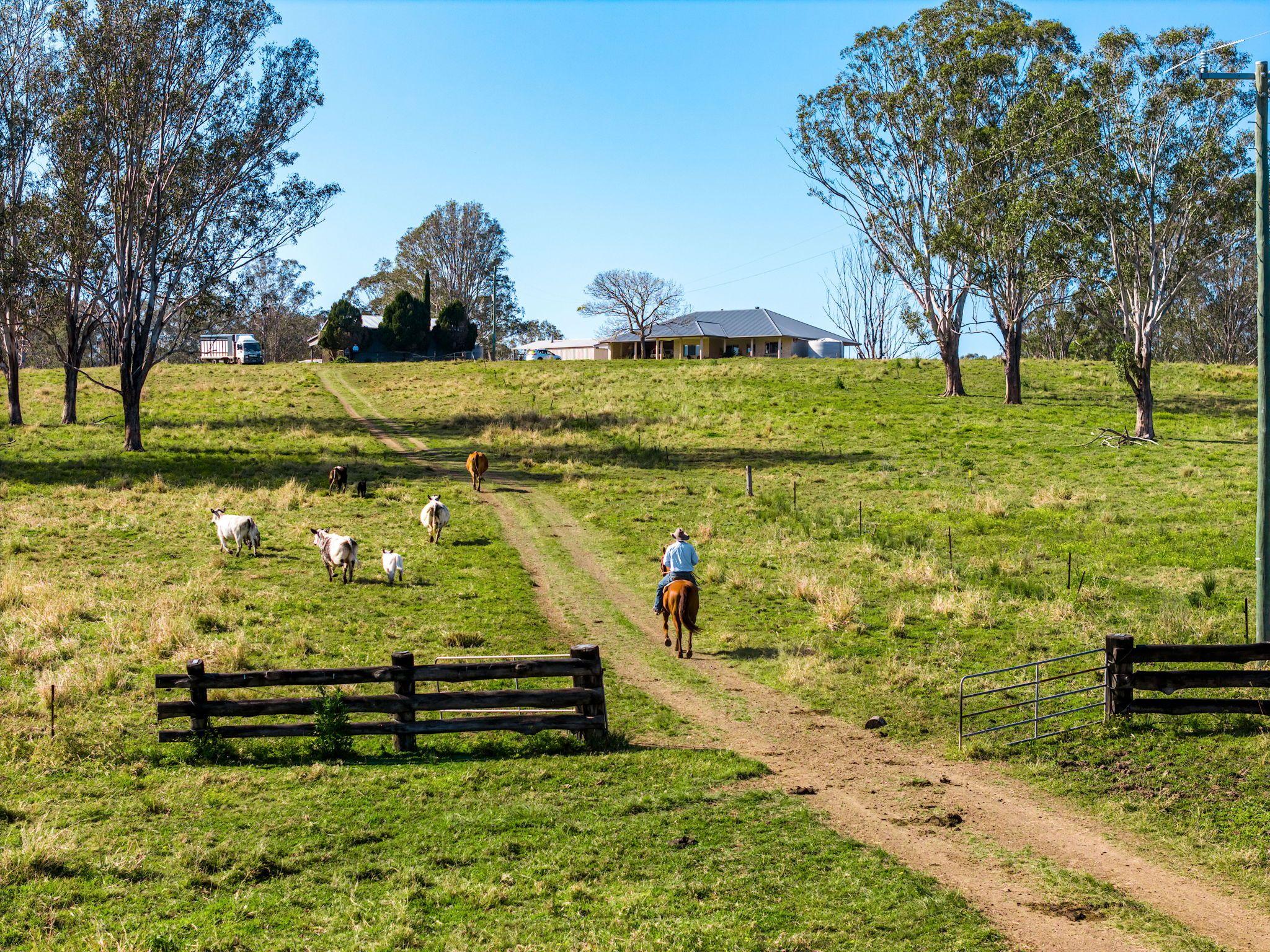 Quality Cattle Block