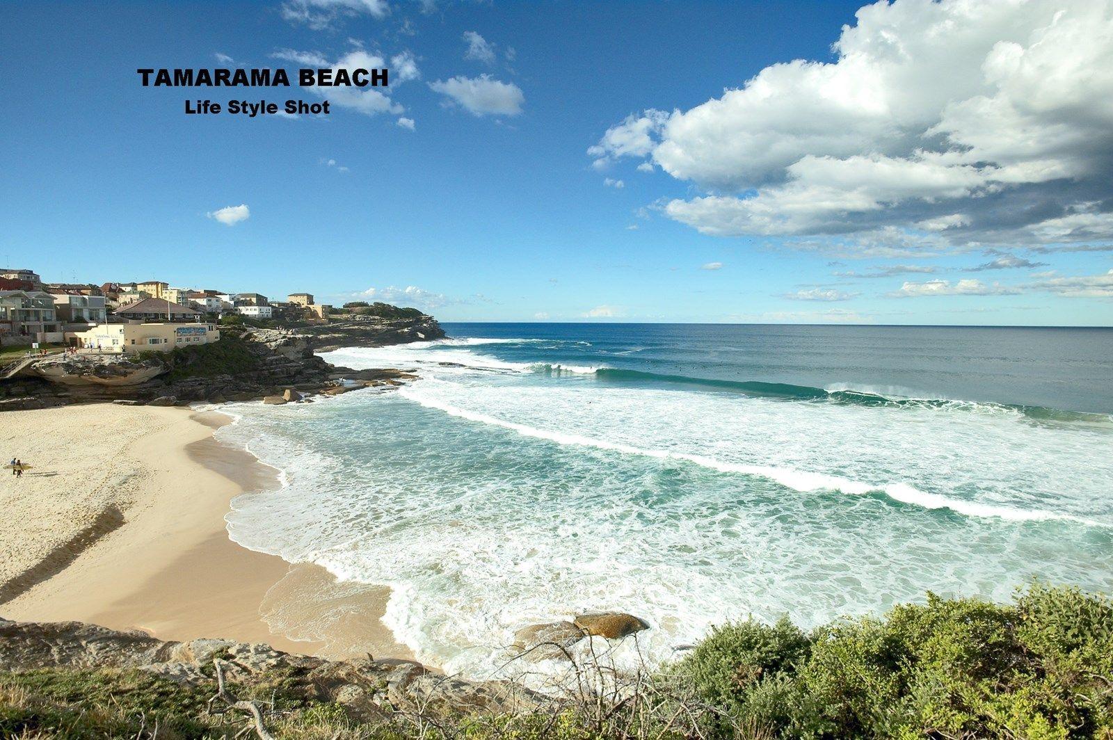 OVERSIZED MODERN STUDIO ACROSS THE ROAD FROM BONDI BEACH!