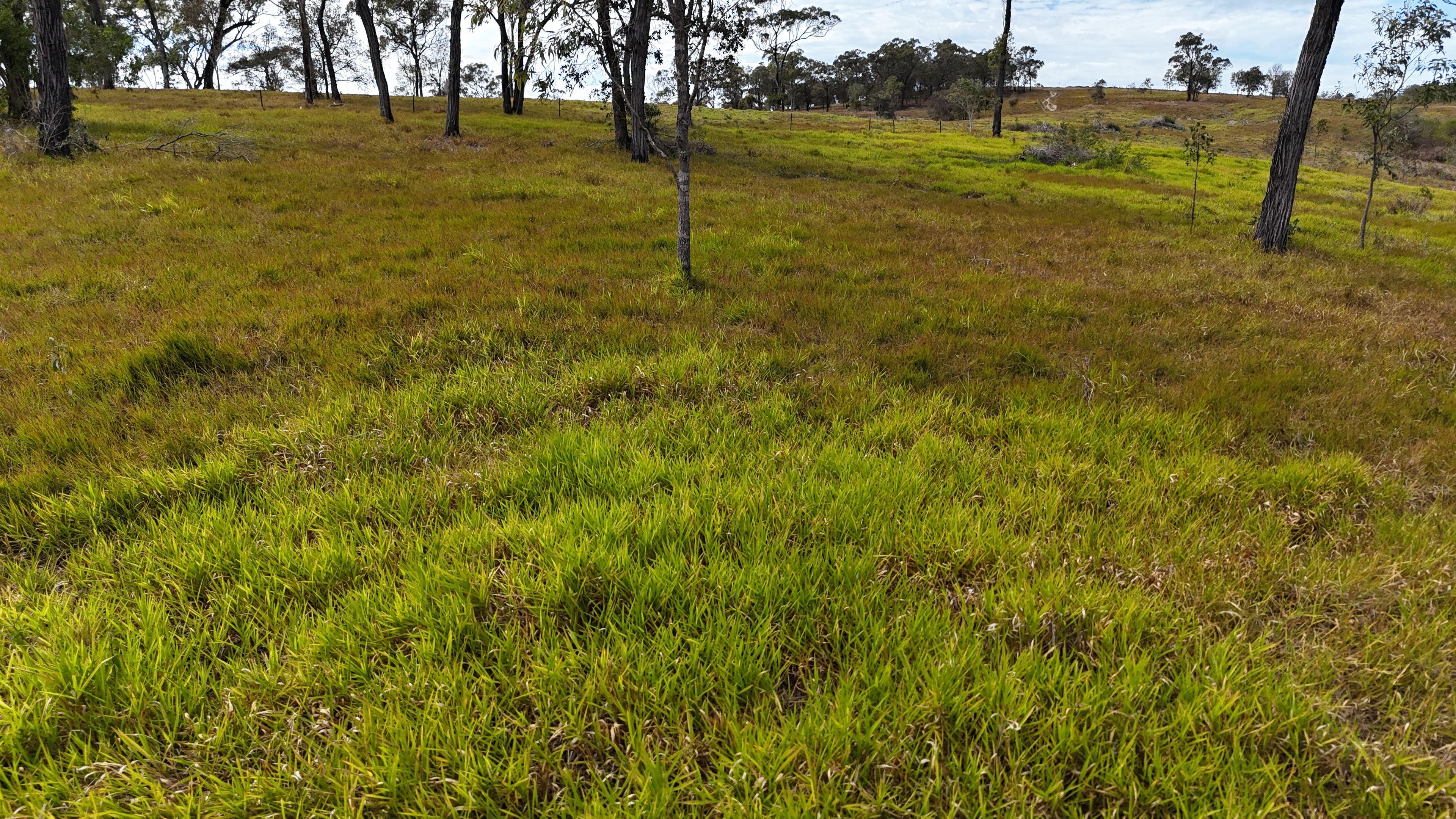 Prop-GPT: Lifestyle: QLD Ilbilbie, QLD 4738 Rural