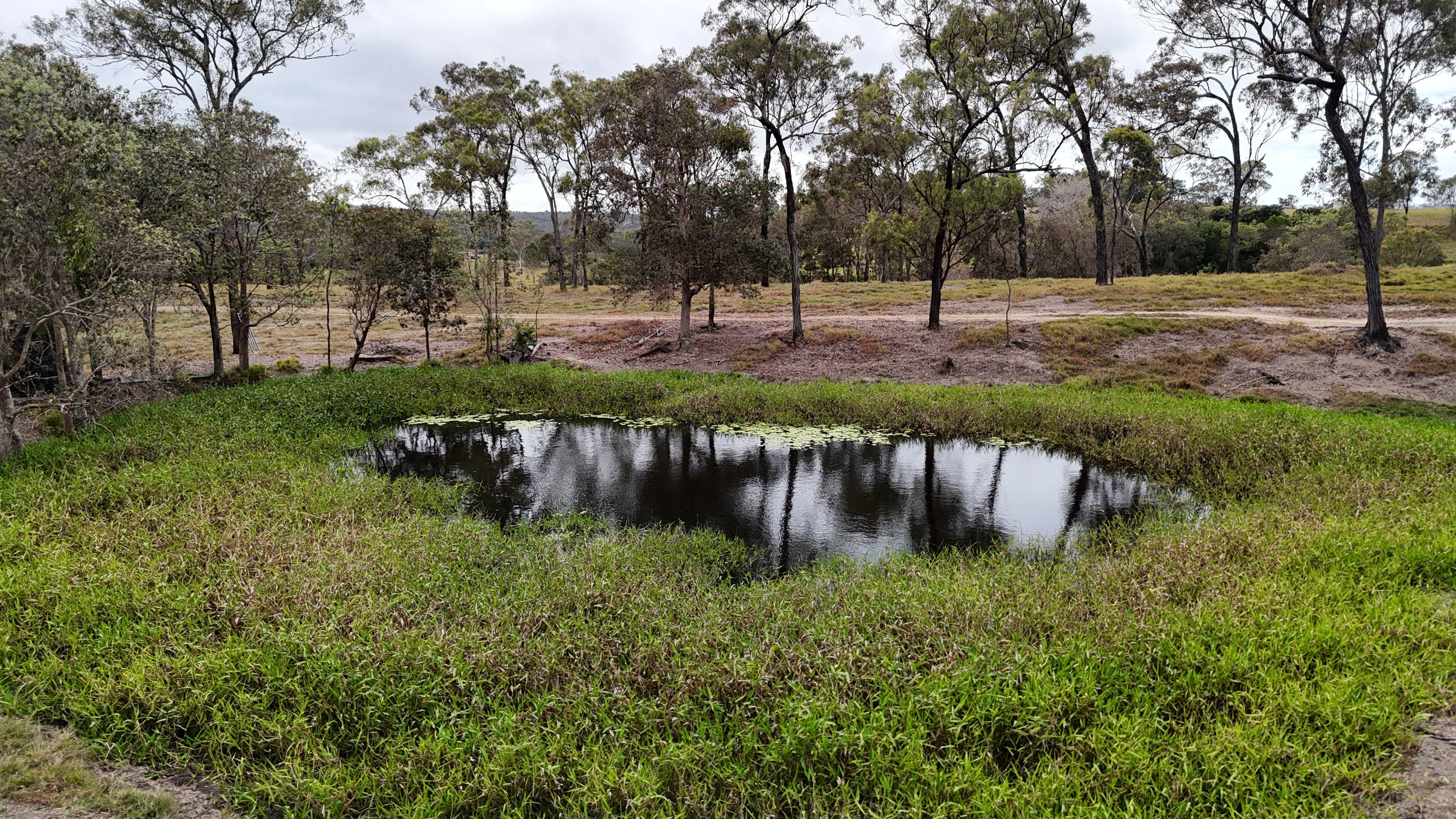 Grazing & Lifestyle Holding with Ocean-to-Range Views