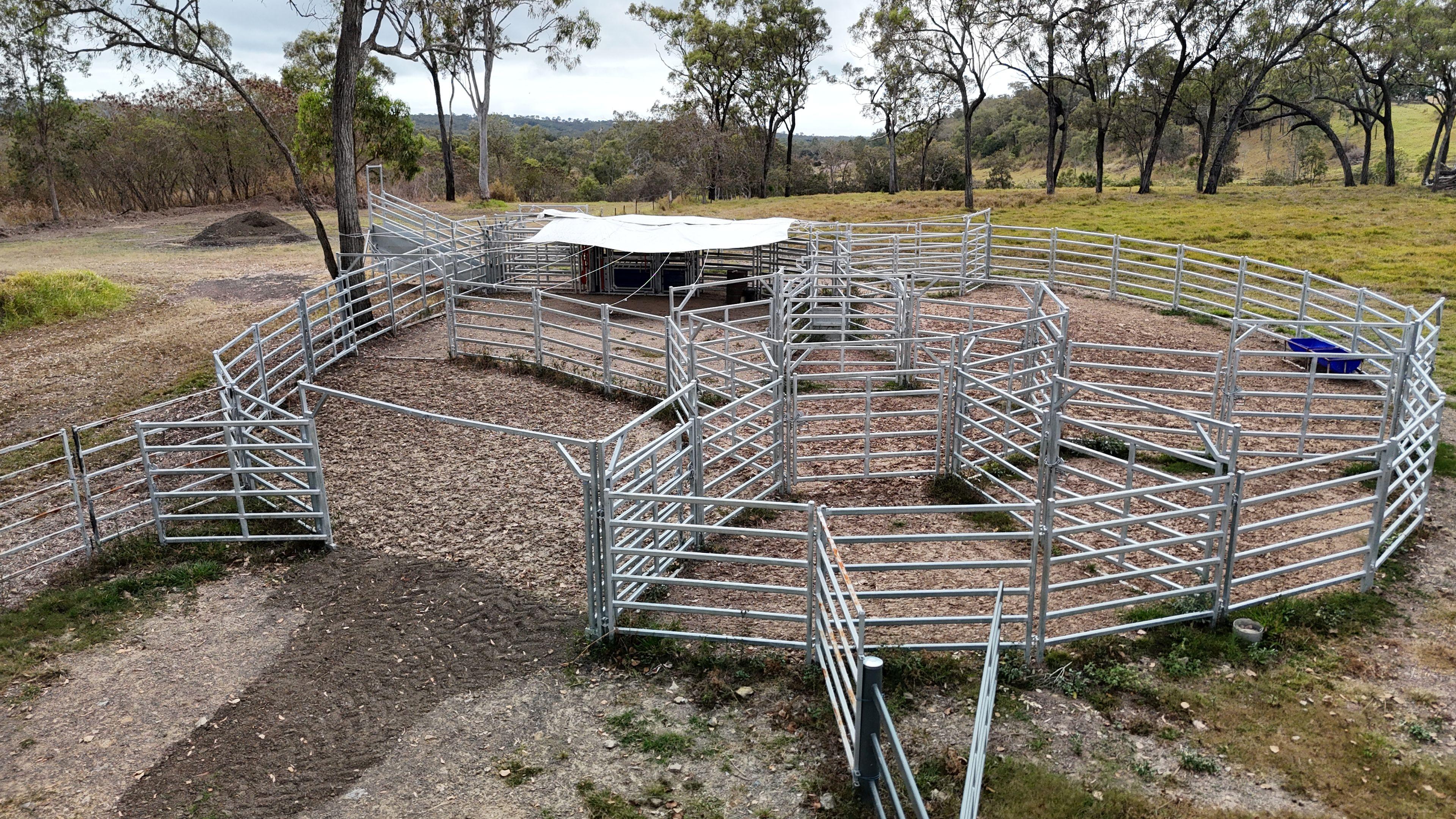 Grazing & Lifestyle Holding with Ocean-to-Range Views