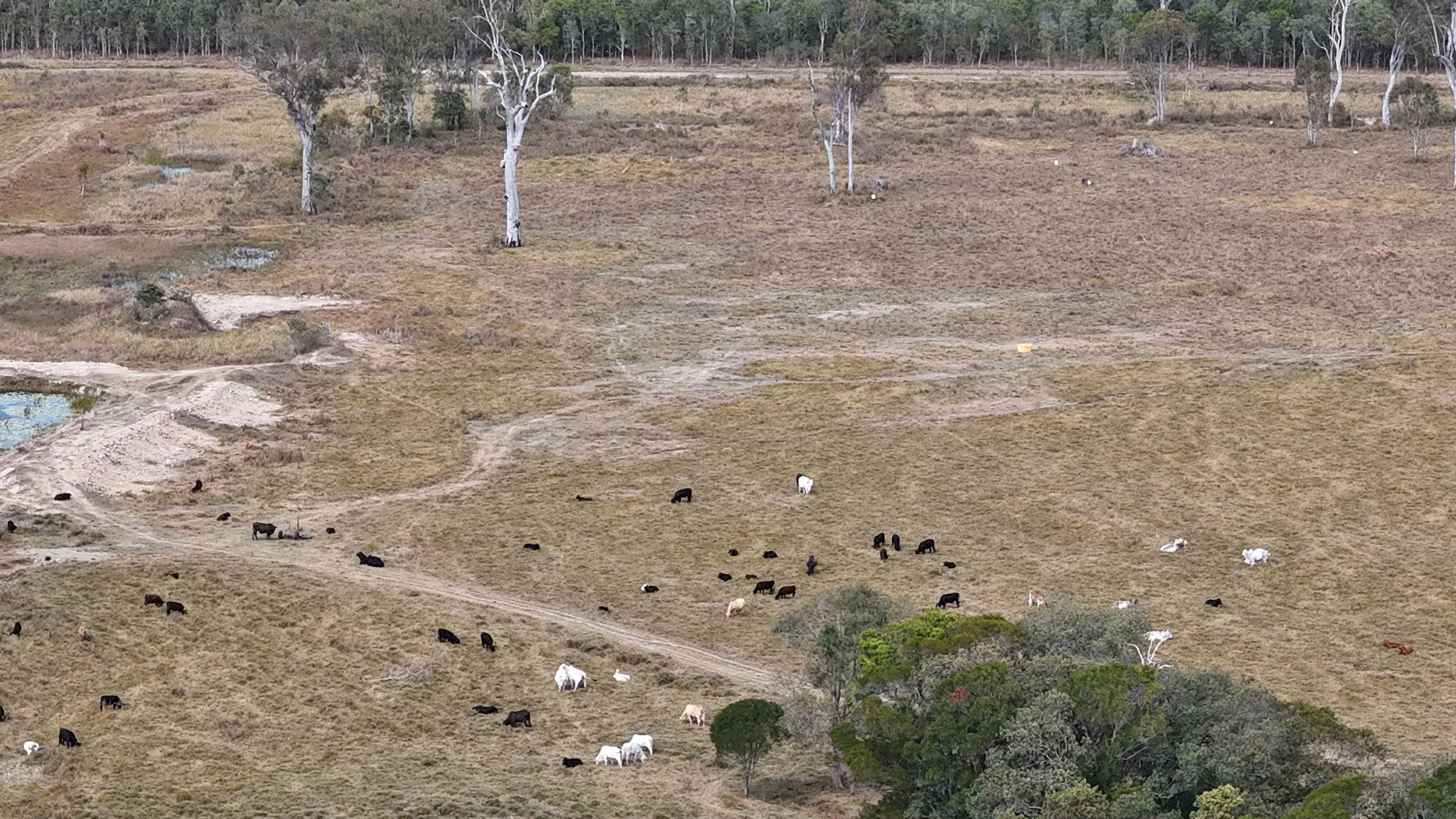 Grazing & Lifestyle Holding with Ocean-to-Range Views