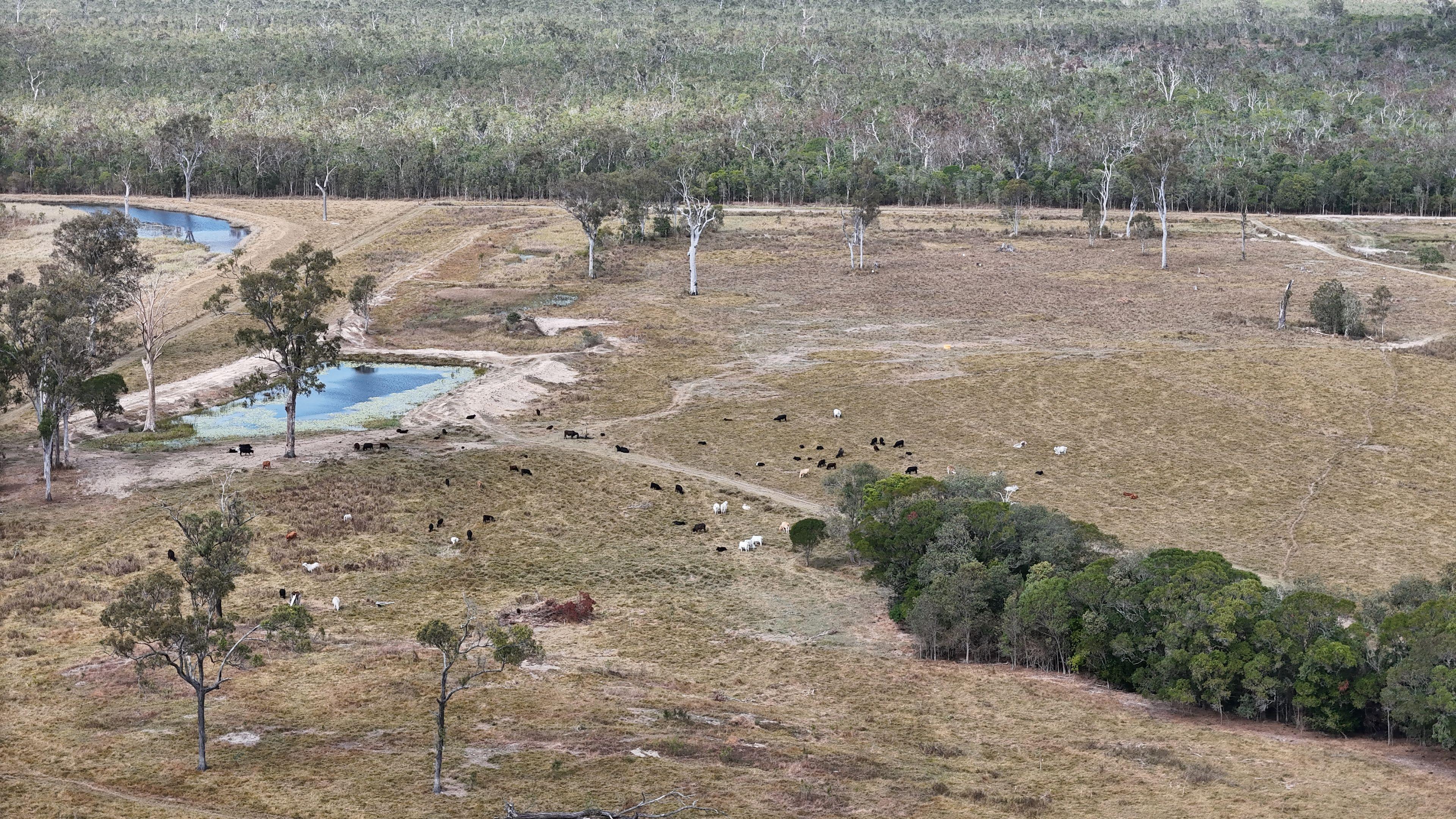 Grazing & Lifestyle Holding with Ocean-to-Range Views