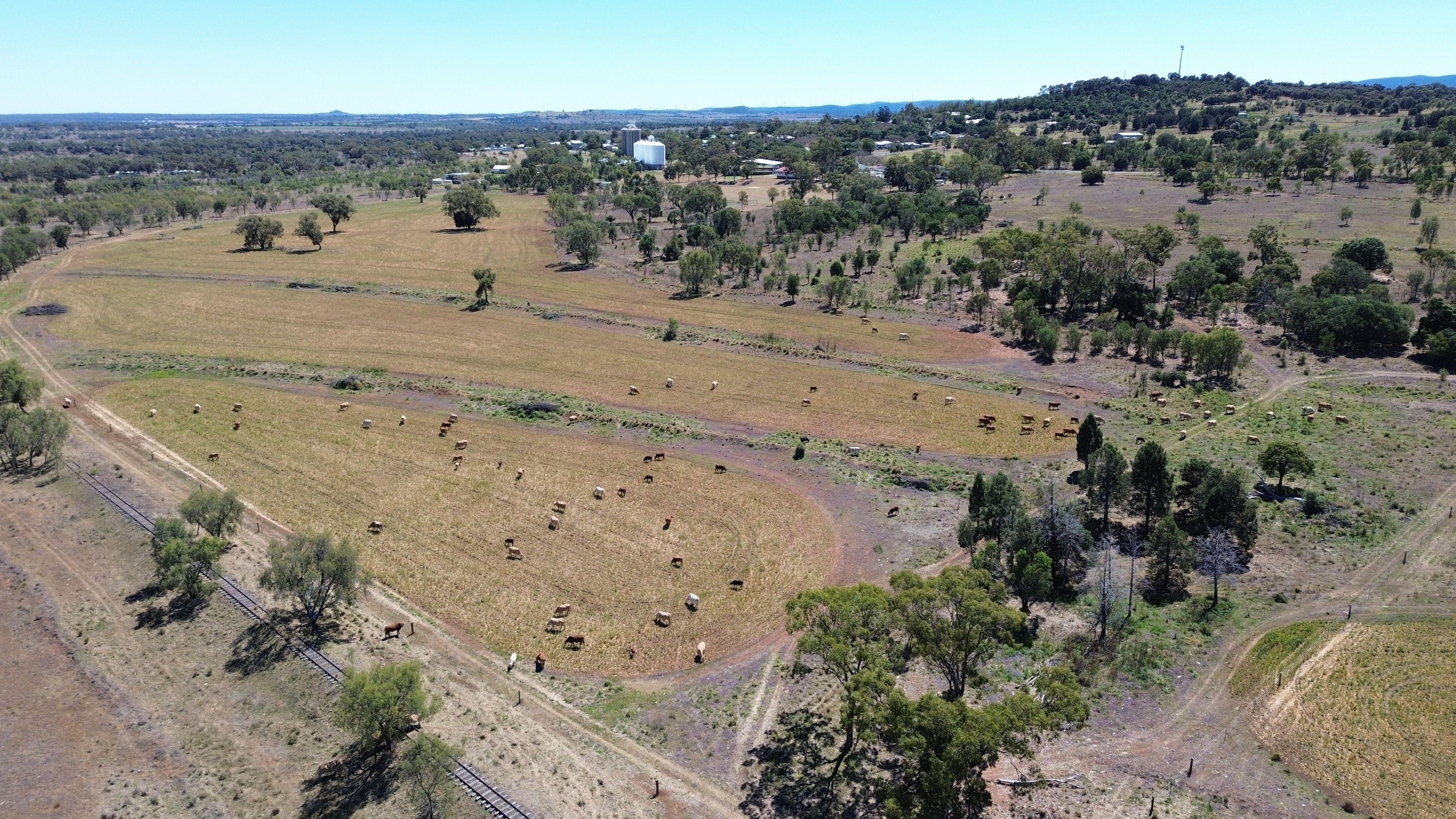 Prop-GPT: Lifestyle: QLD Bell, QLD 4408 Rural
