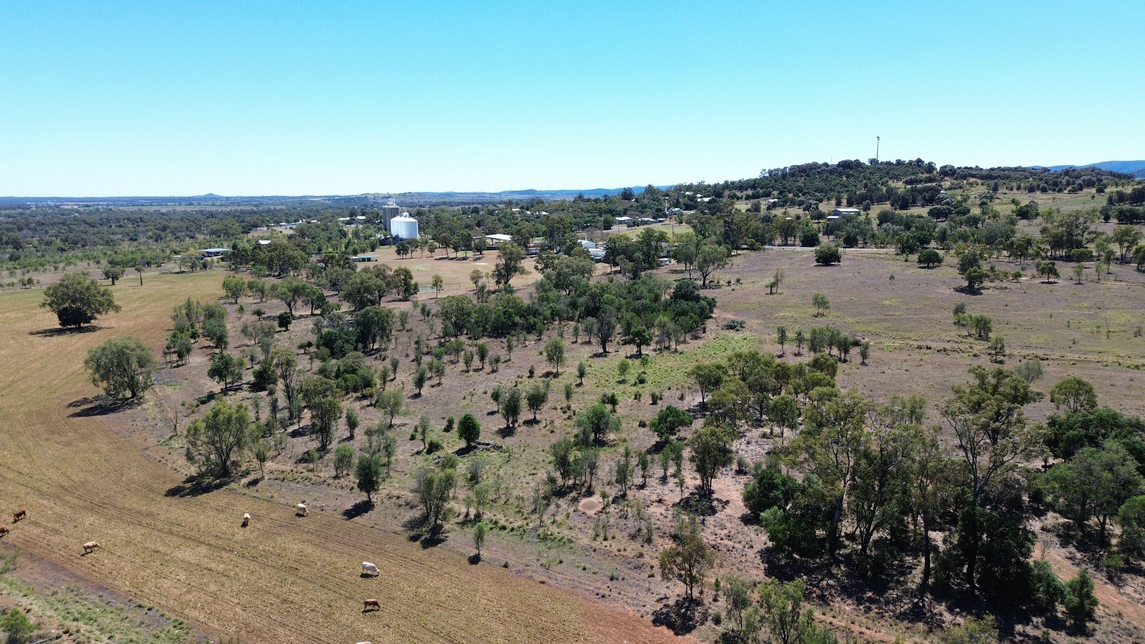 45 Acres Outstanding Lifestyle Block