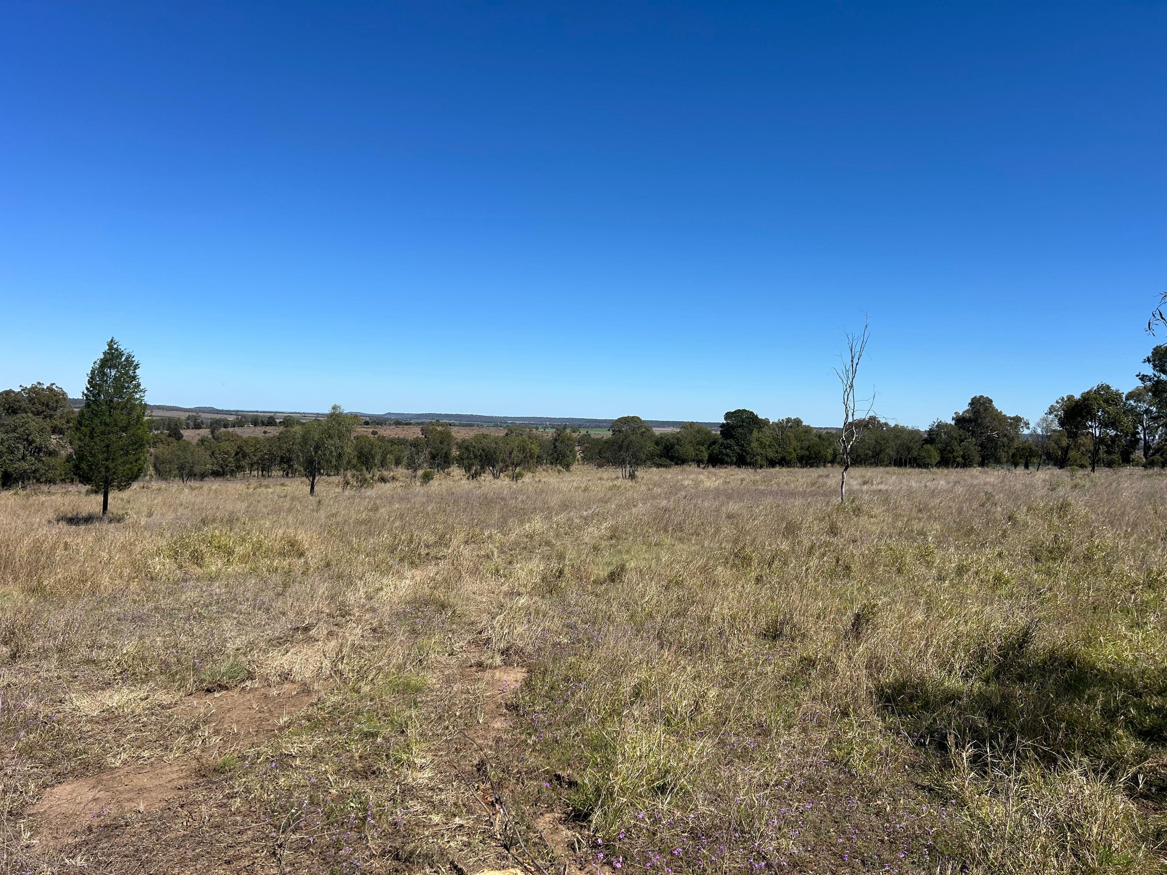 45 Acres Outstanding Lifestyle Block