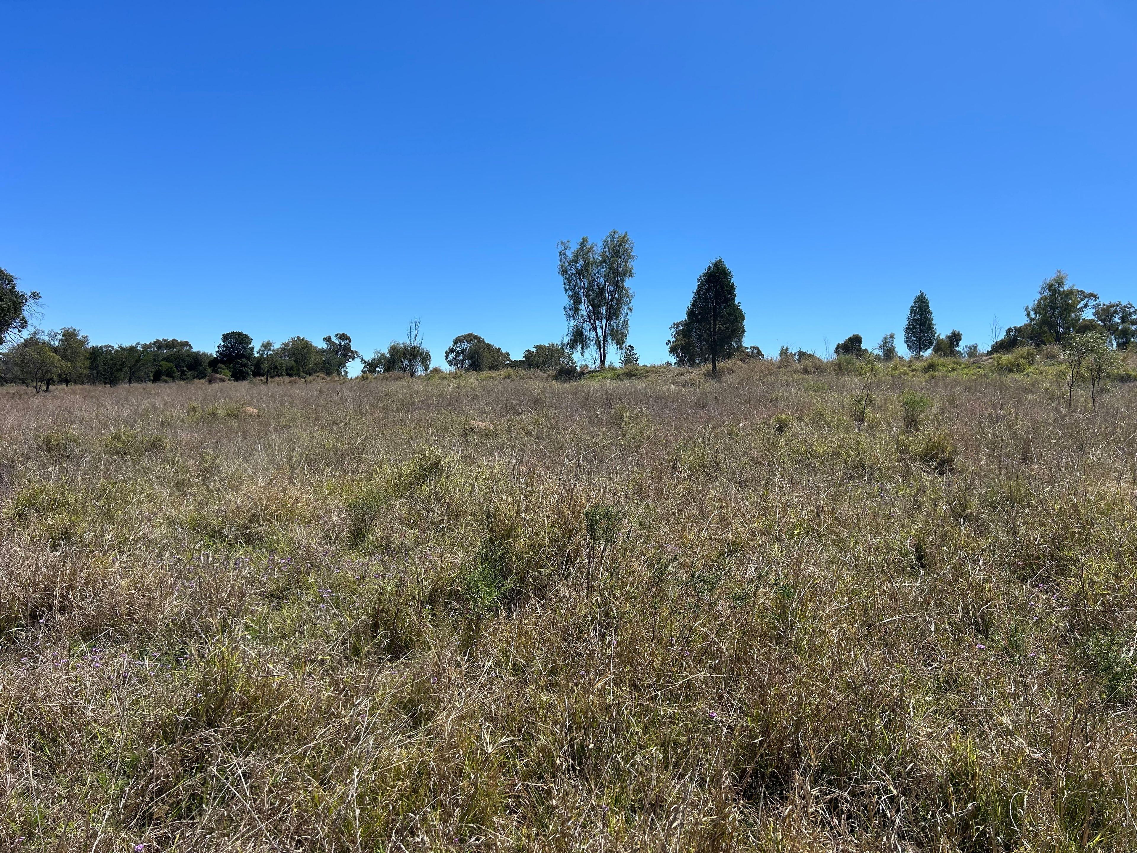45 Acres Outstanding Lifestyle Block