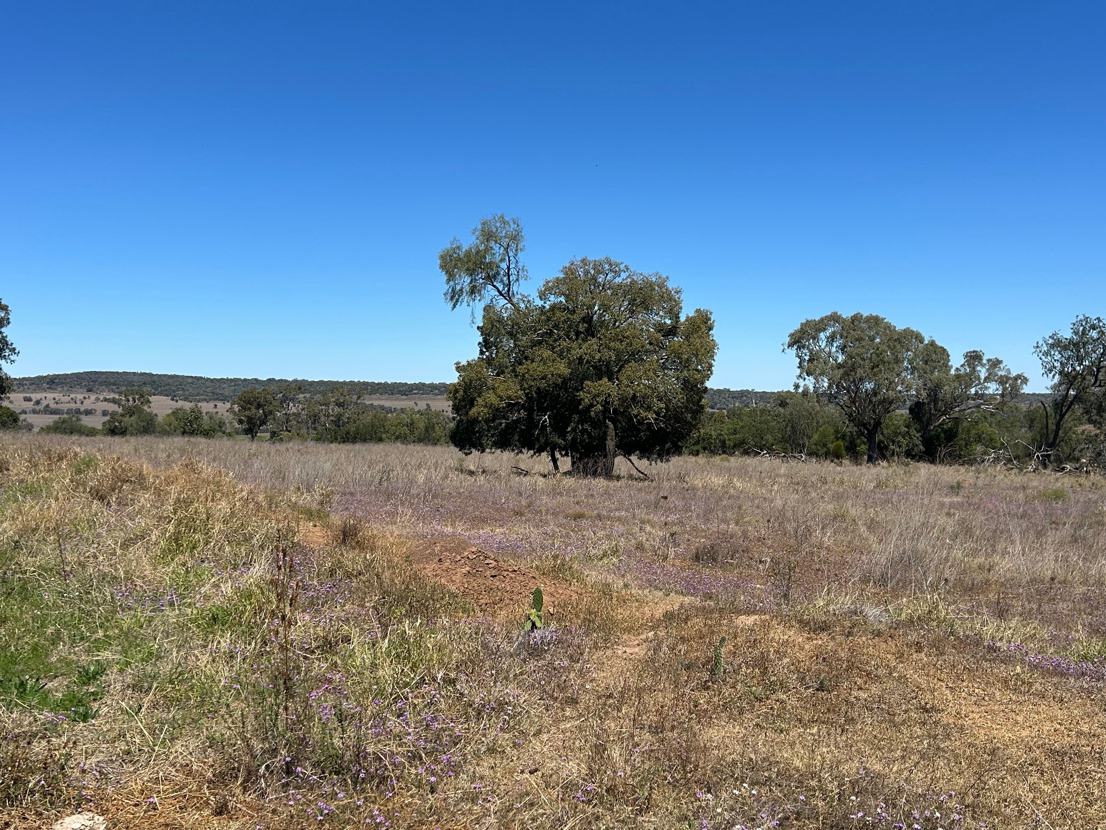 45 Acres Outstanding Lifestyle Block