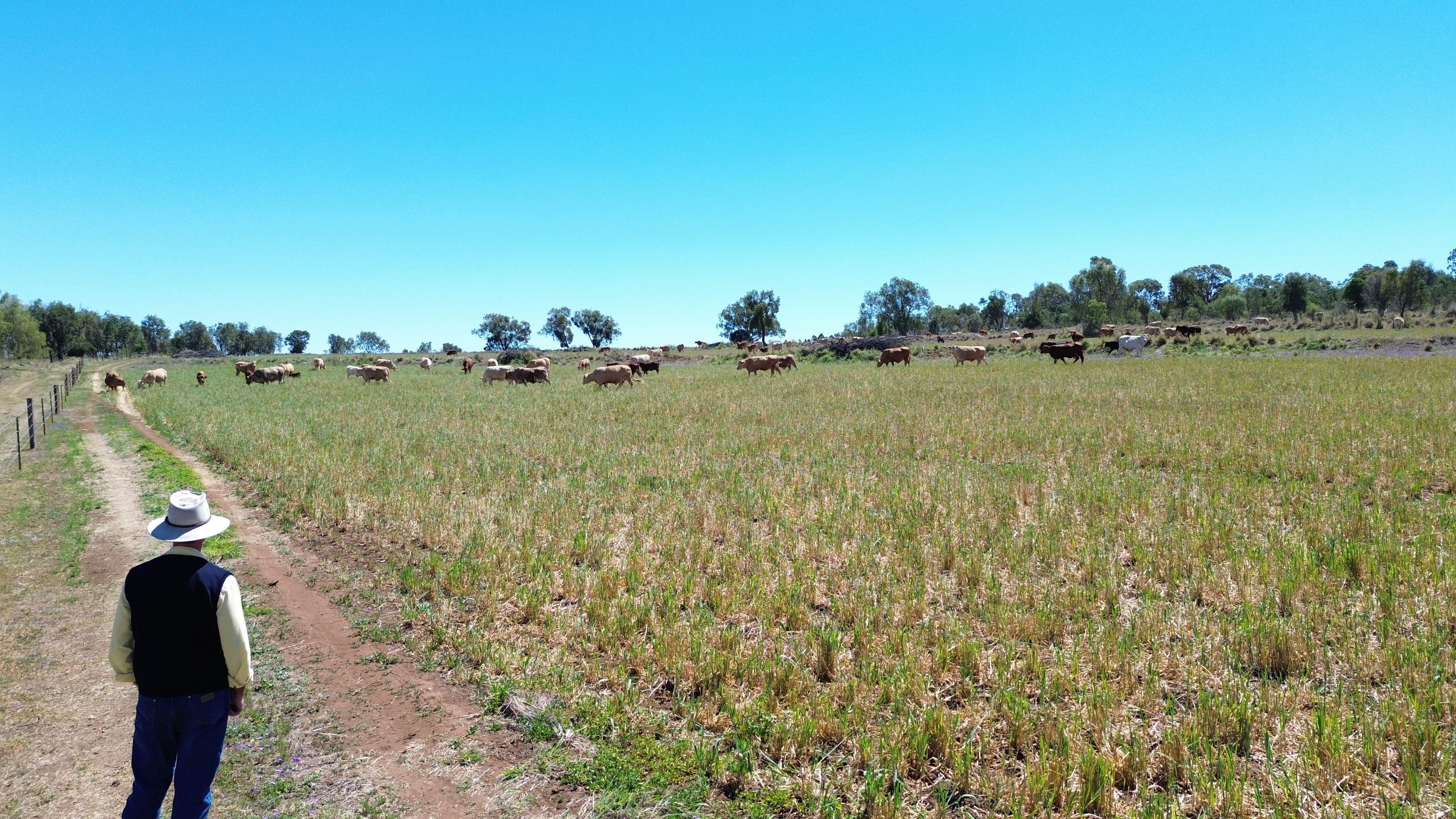 45 Acres Outstanding Lifestyle Block