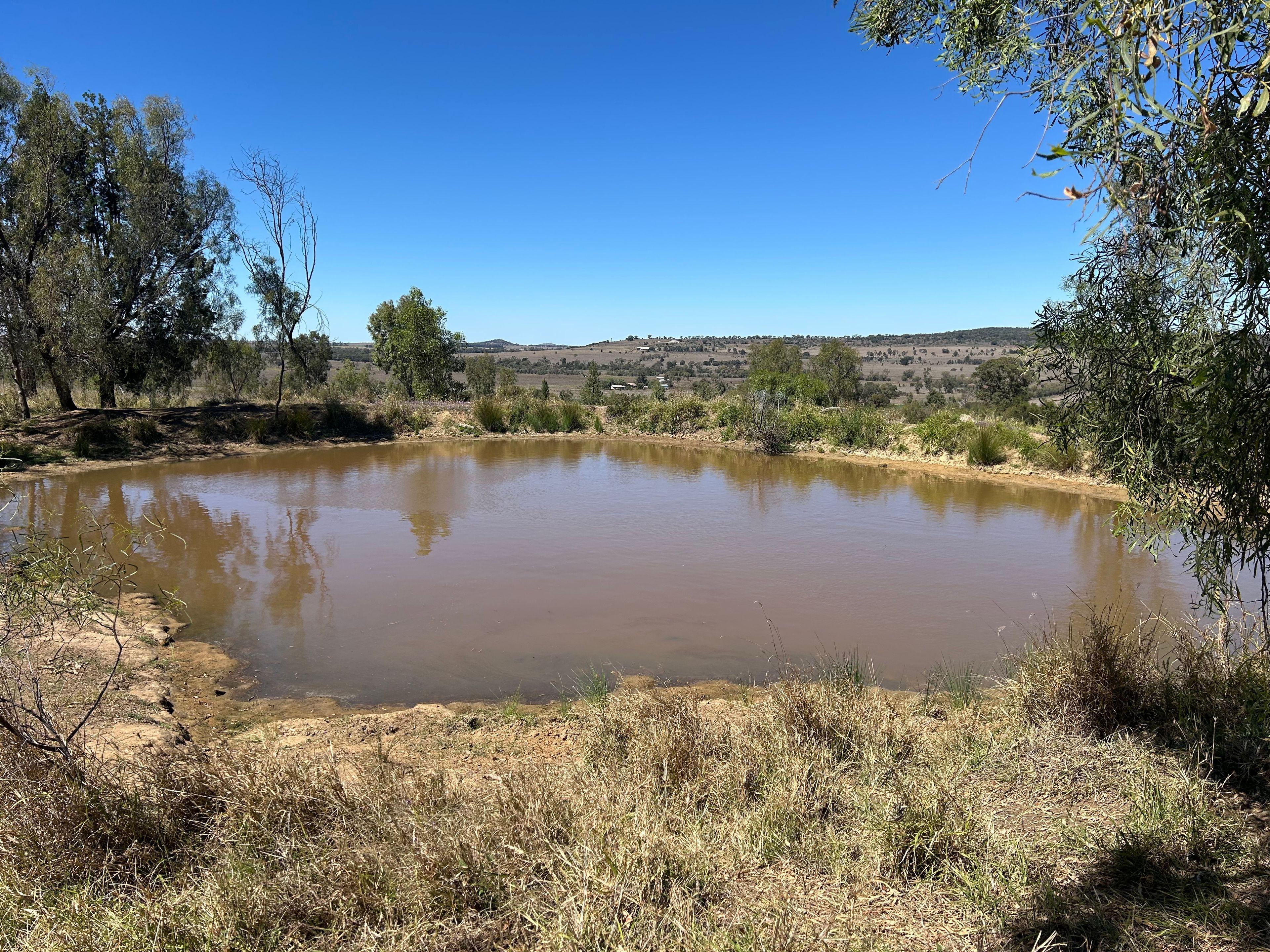 45 Acres Outstanding Lifestyle Block