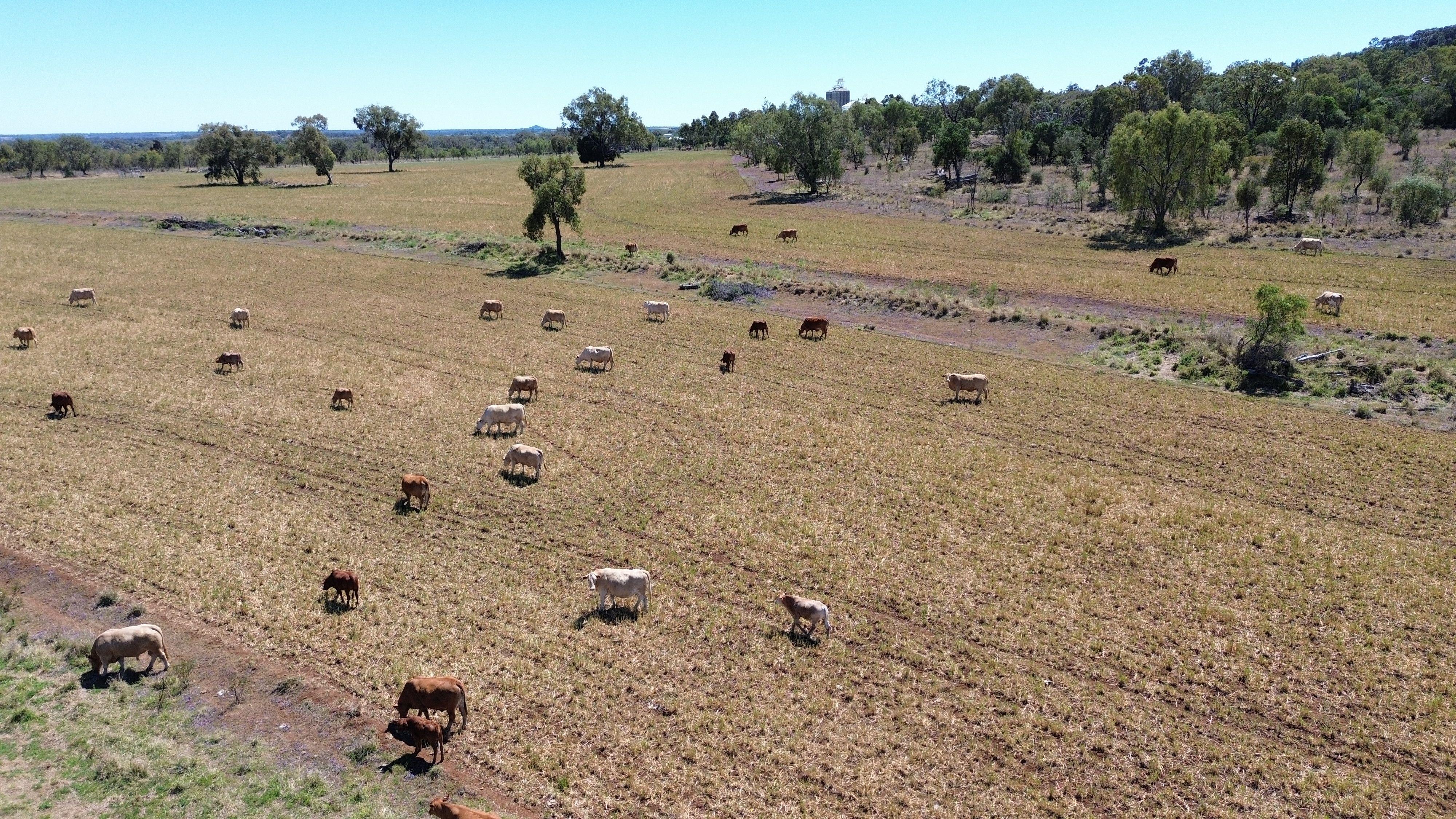 45 Acres Outstanding Lifestyle Block