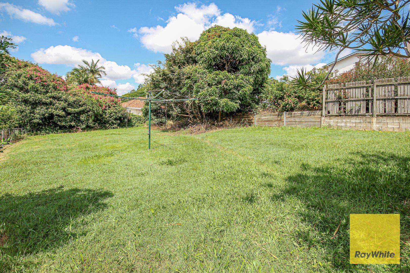 Neat and Tidy 3 Bedroom in Holland Park
