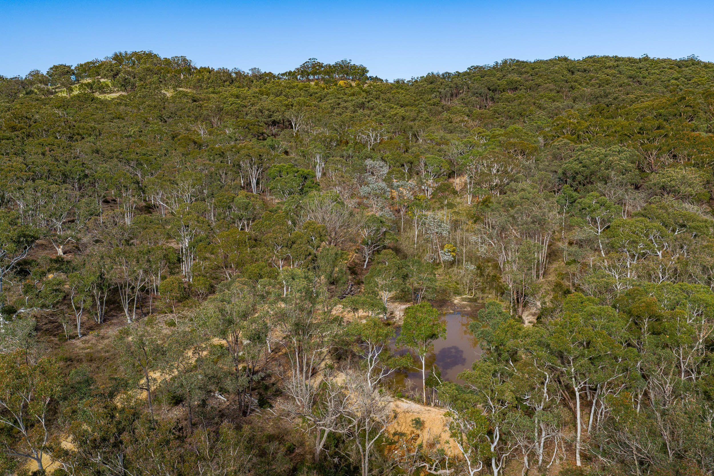 60 acres of land