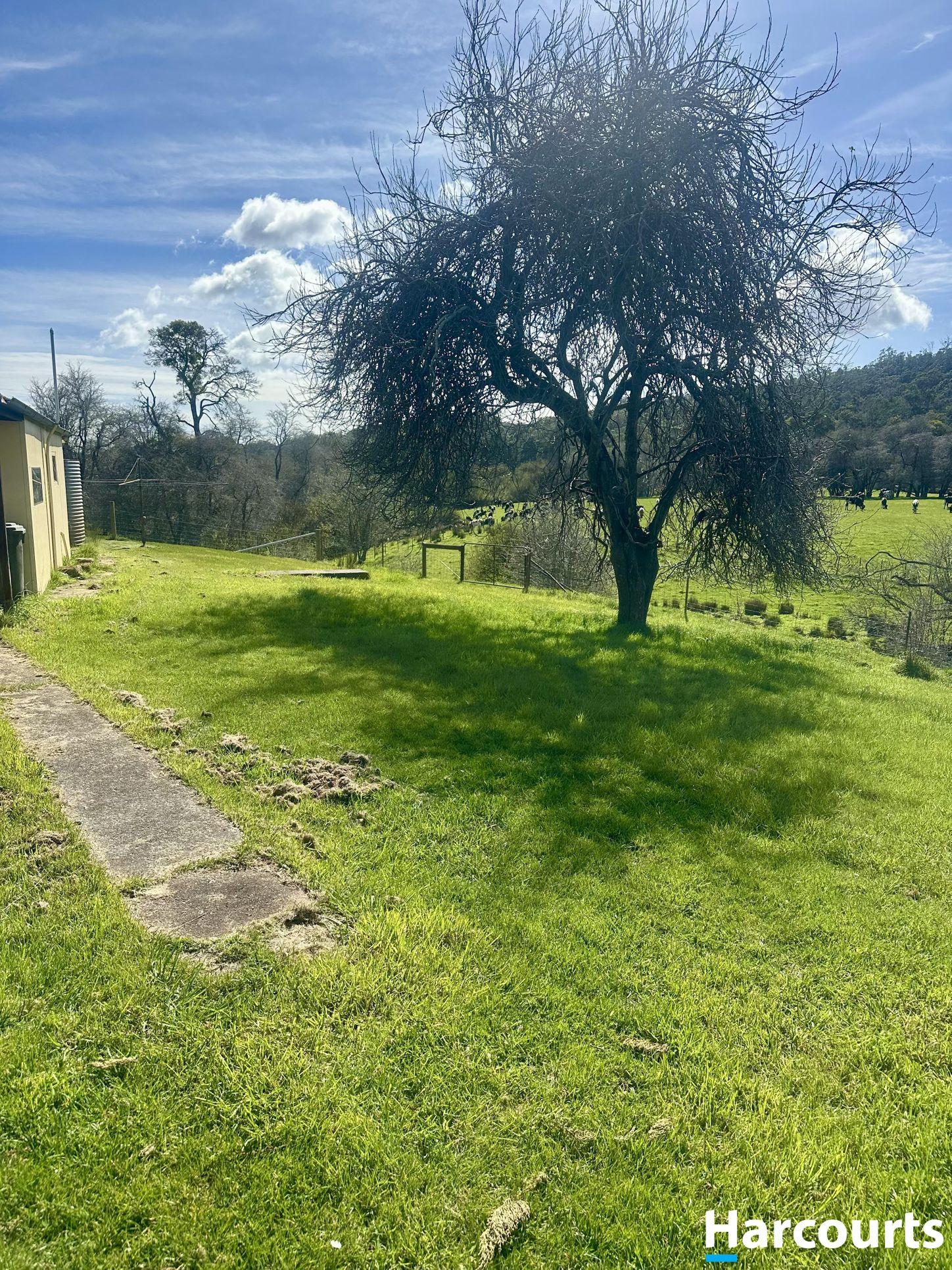 561a Holwell Road, HOLWELL, TAS 7275 - House for Rent - harcourts.net