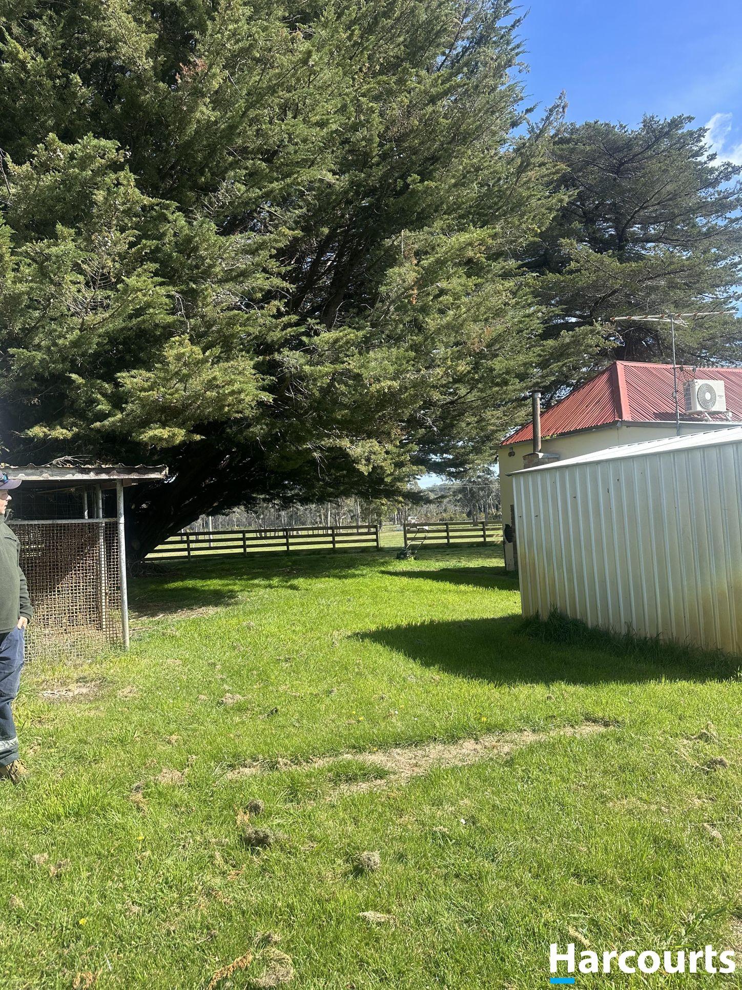 561a Holwell Road, HOLWELL, TAS 7275 - House for Rent - harcourts.net