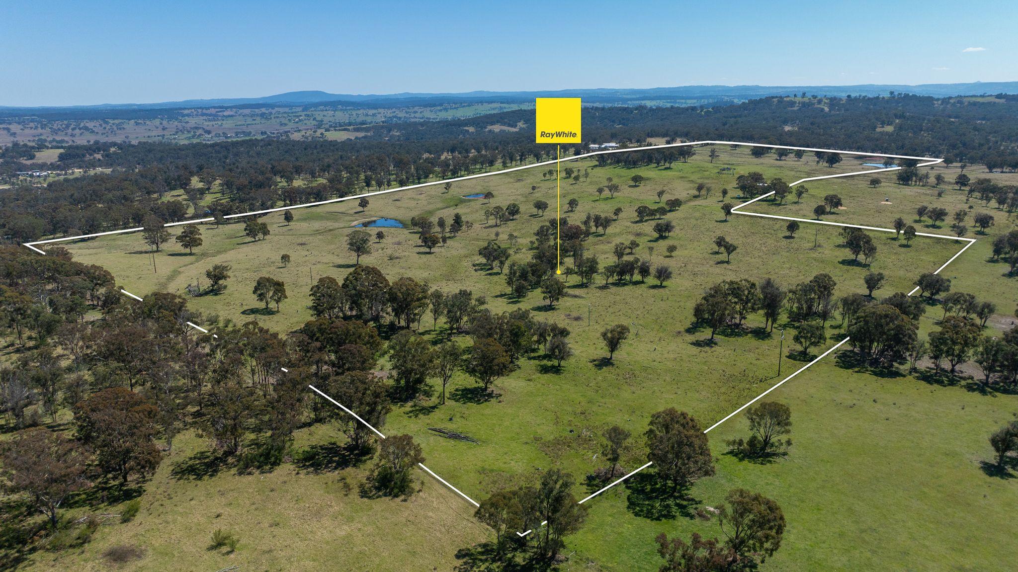Prime 107 Acre Lifestyle Block with Dwelling Entitlement - 17km from Armidale