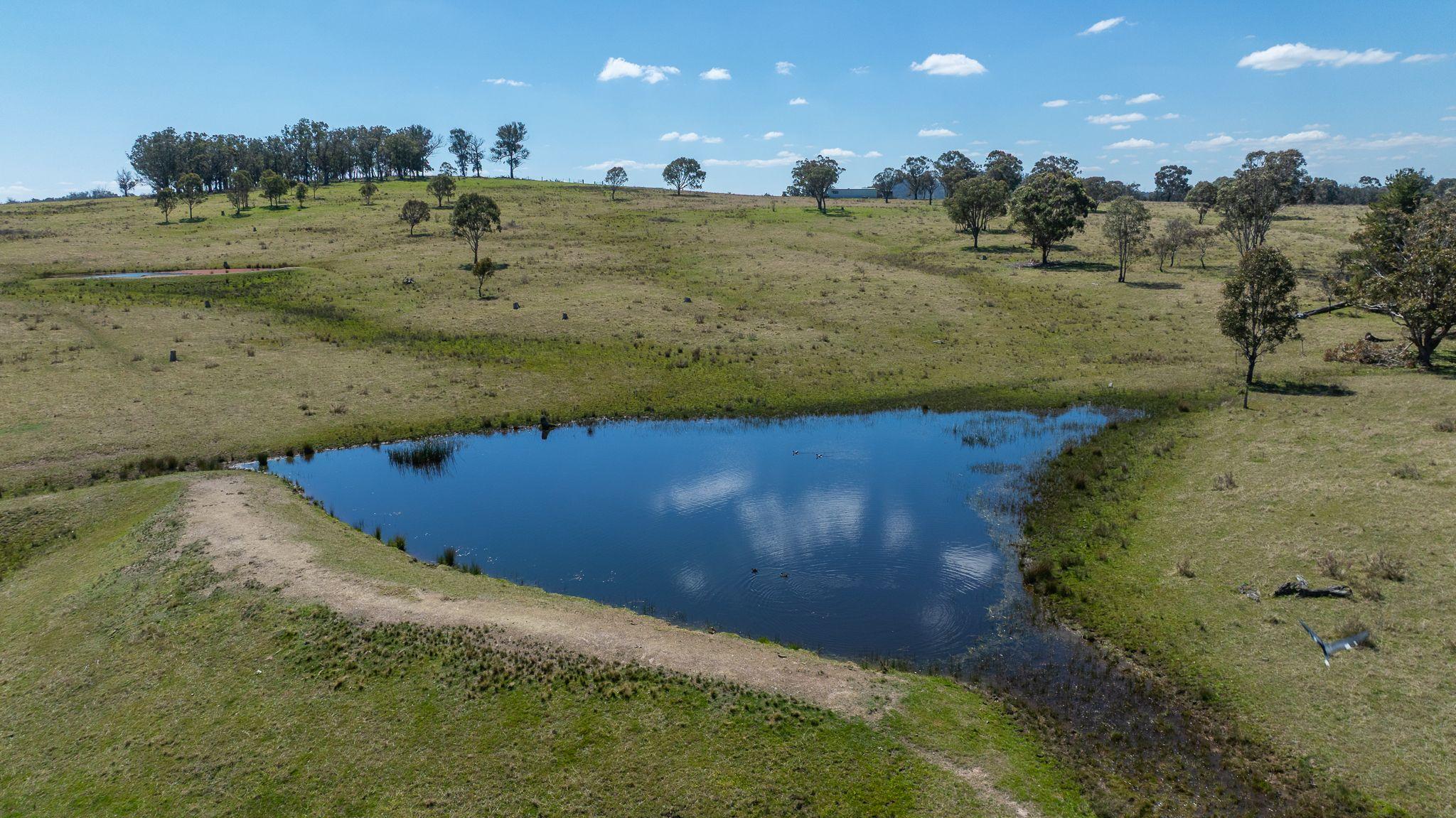 Prime 107 Acre Lifestyle Block with Dwelling Entitlement - 17km from Armidale