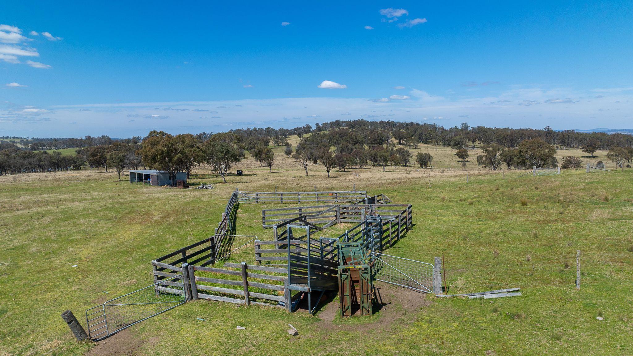 Prime 107 Acre Lifestyle Block with Dwelling Entitlement - 17km from Armidale