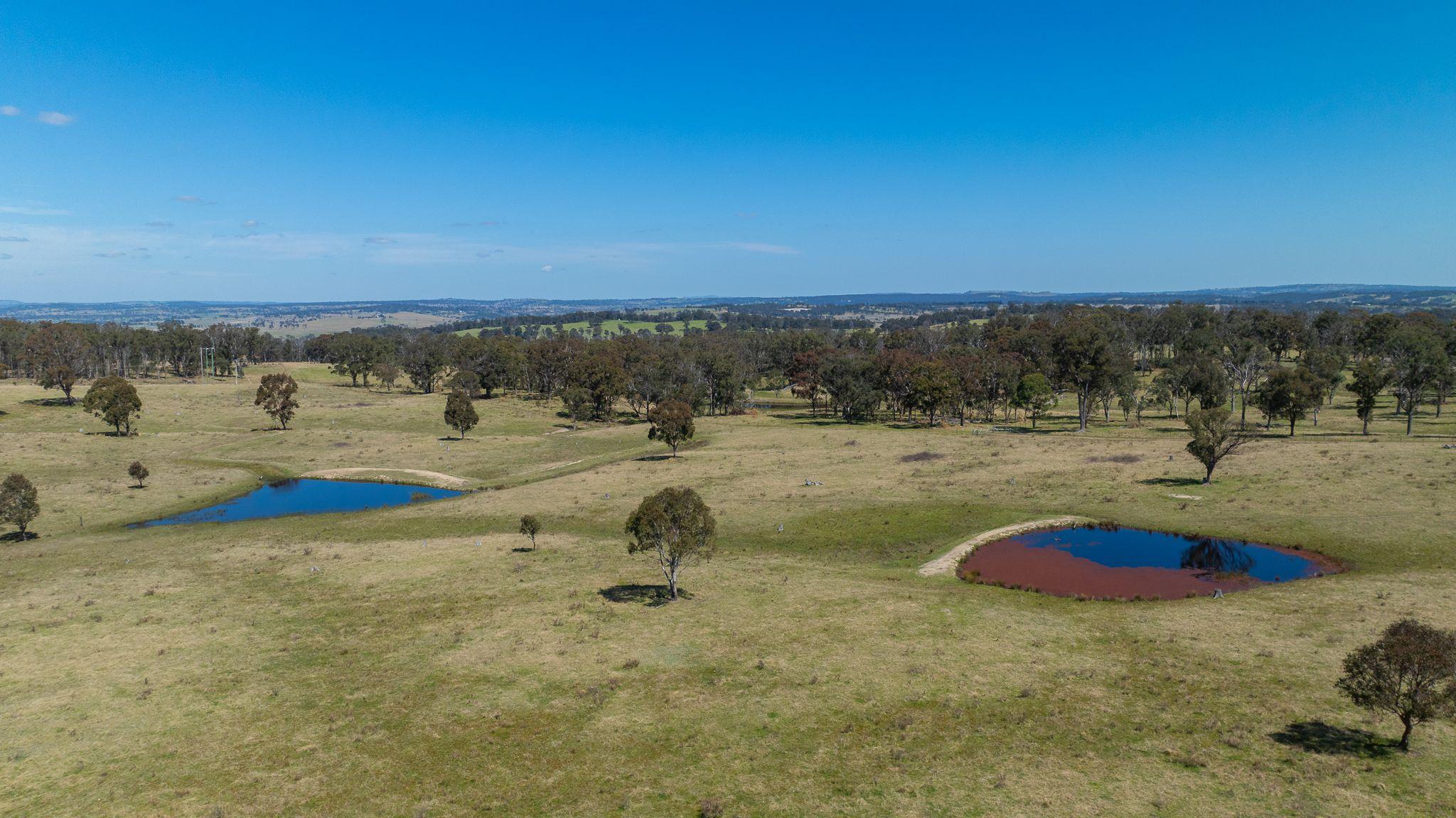 Prime 107 Acre Lifestyle Block with Dwelling Entitlement - 17km from Armidale