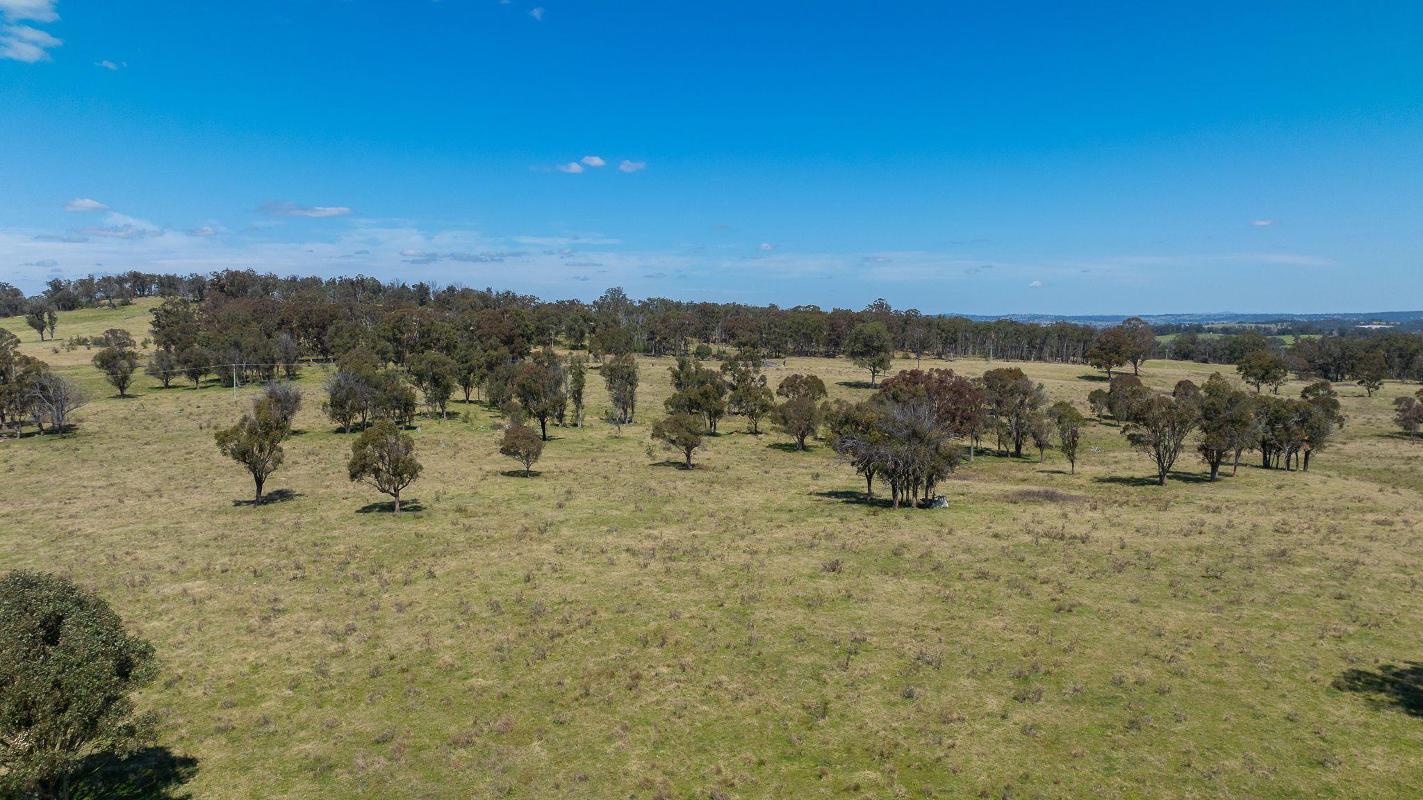 Prime 107 Acre Lifestyle Block with Dwelling Entitlement - 17km from Armidale