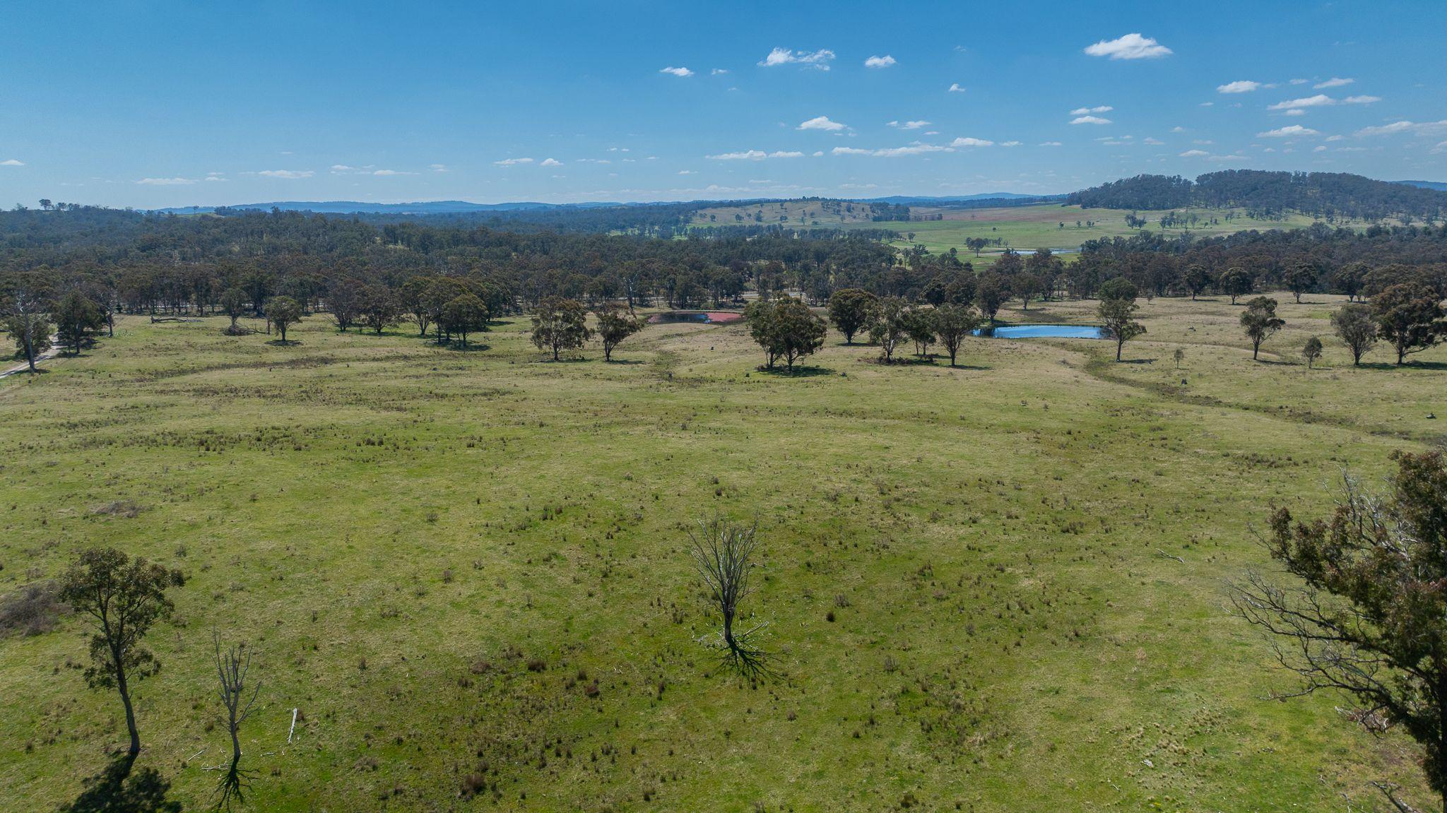 Prime 107 Acre Lifestyle Block with Dwelling Entitlement - 17km from Armidale