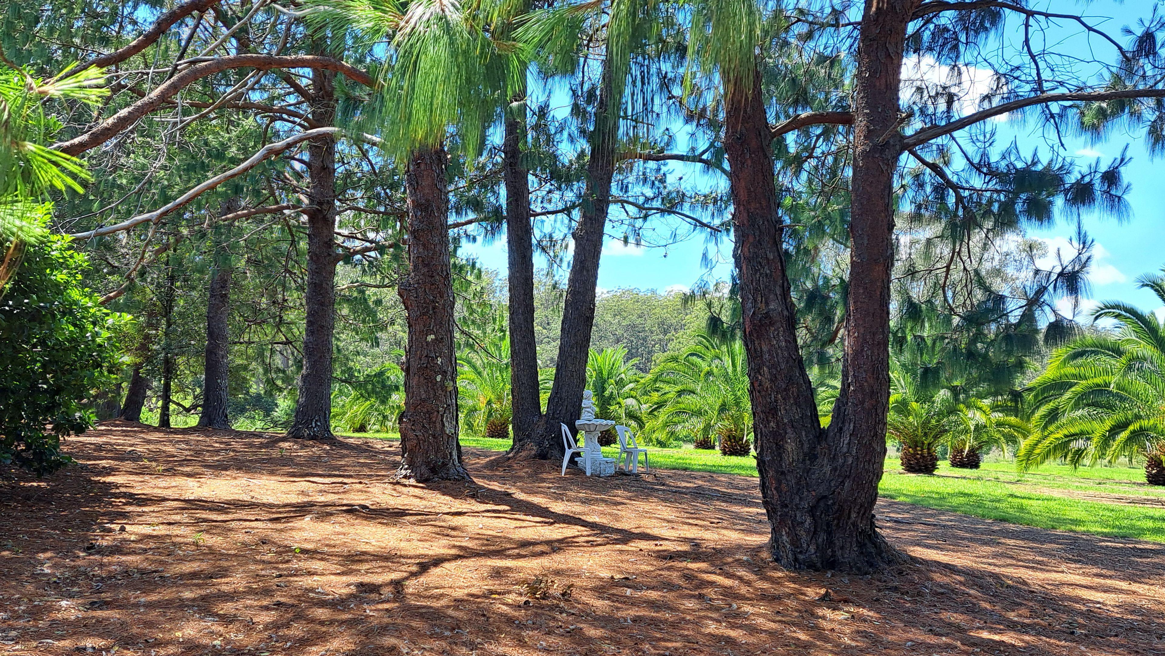 Country Coastal Oasis of Rare Beauty and Endless Possibility