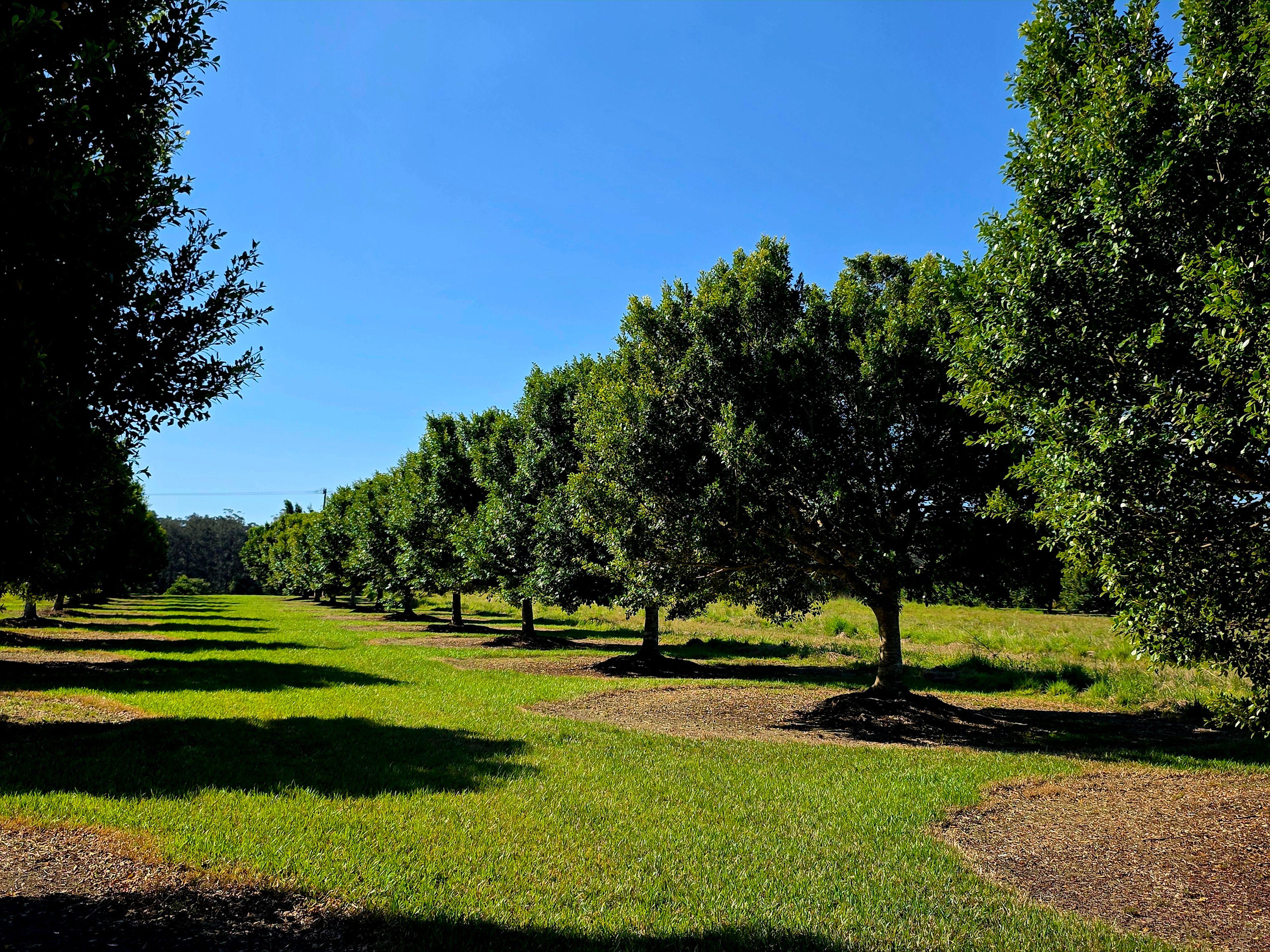 Country Coastal Oasis of Rare Beauty and Endless Possibility