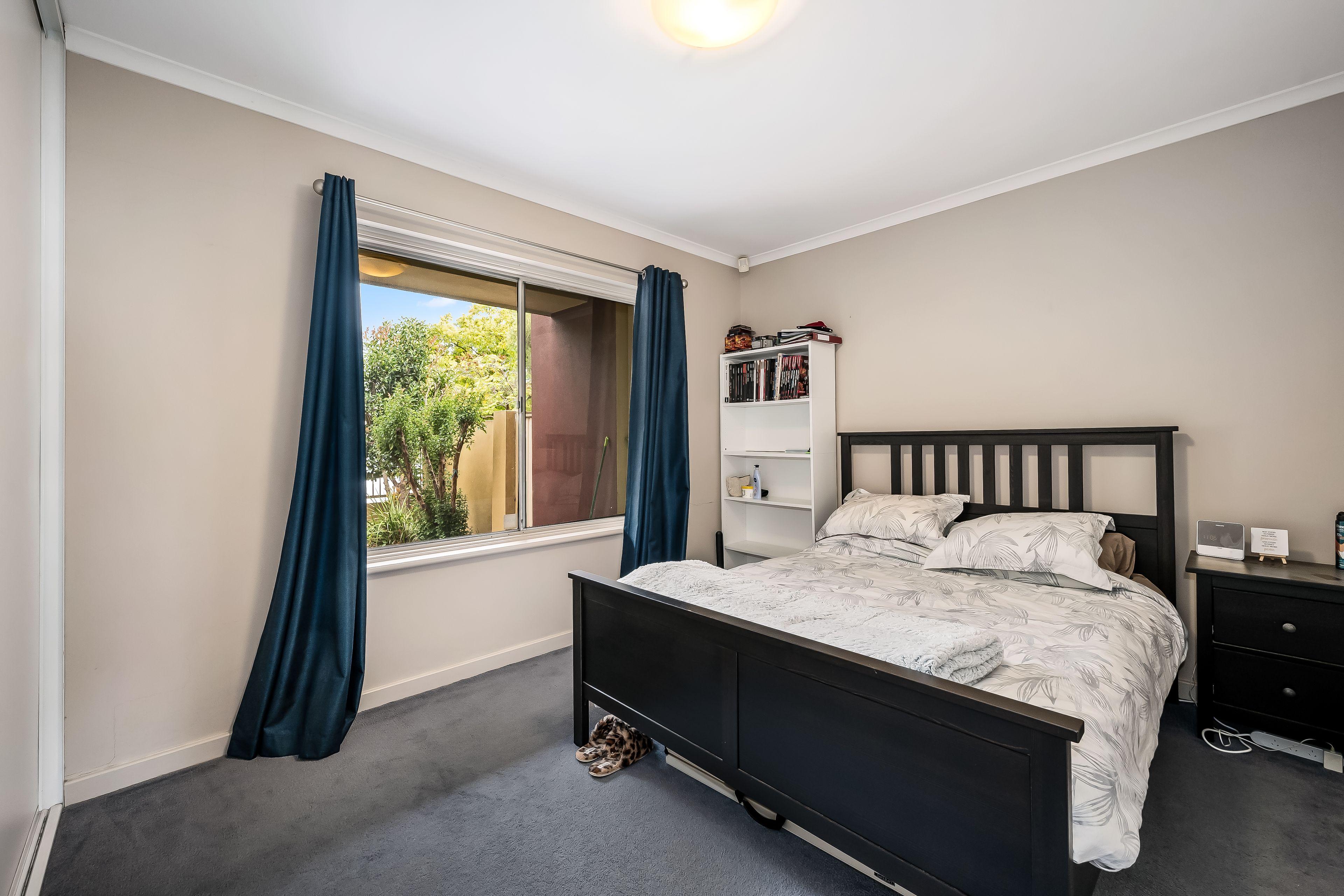 Stylish Furnished Ground Floor Living in Leafy Forestville