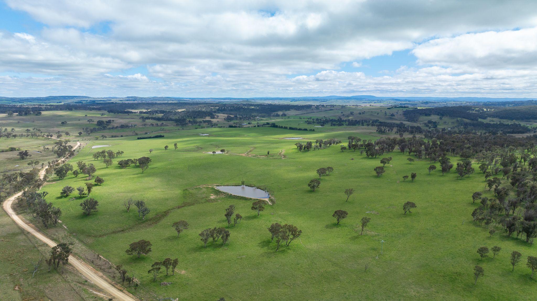 Prop-GPT: Cropping: NSW East Armidale, NSW 2350 Rural